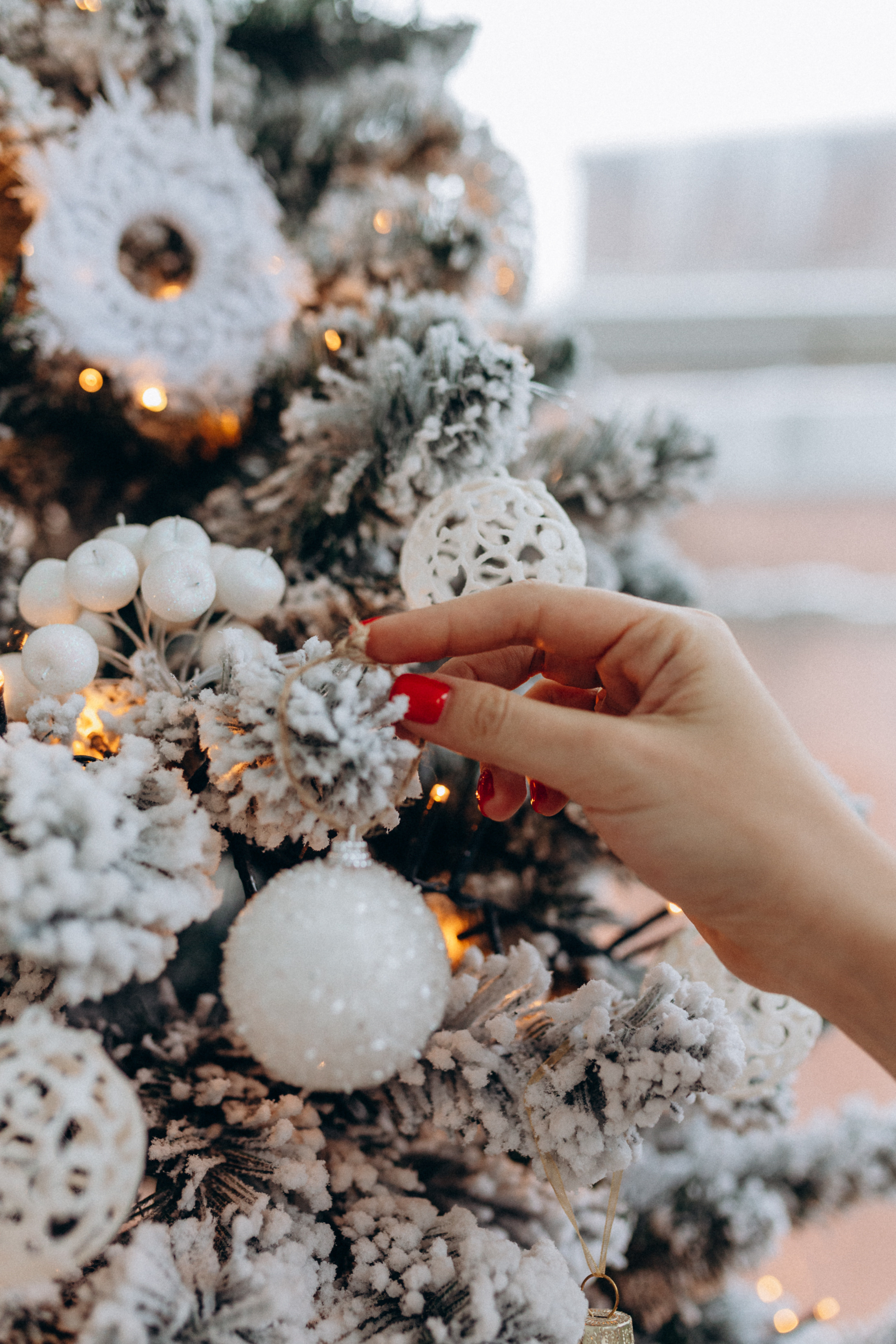 Новогодние Вера и Сережа