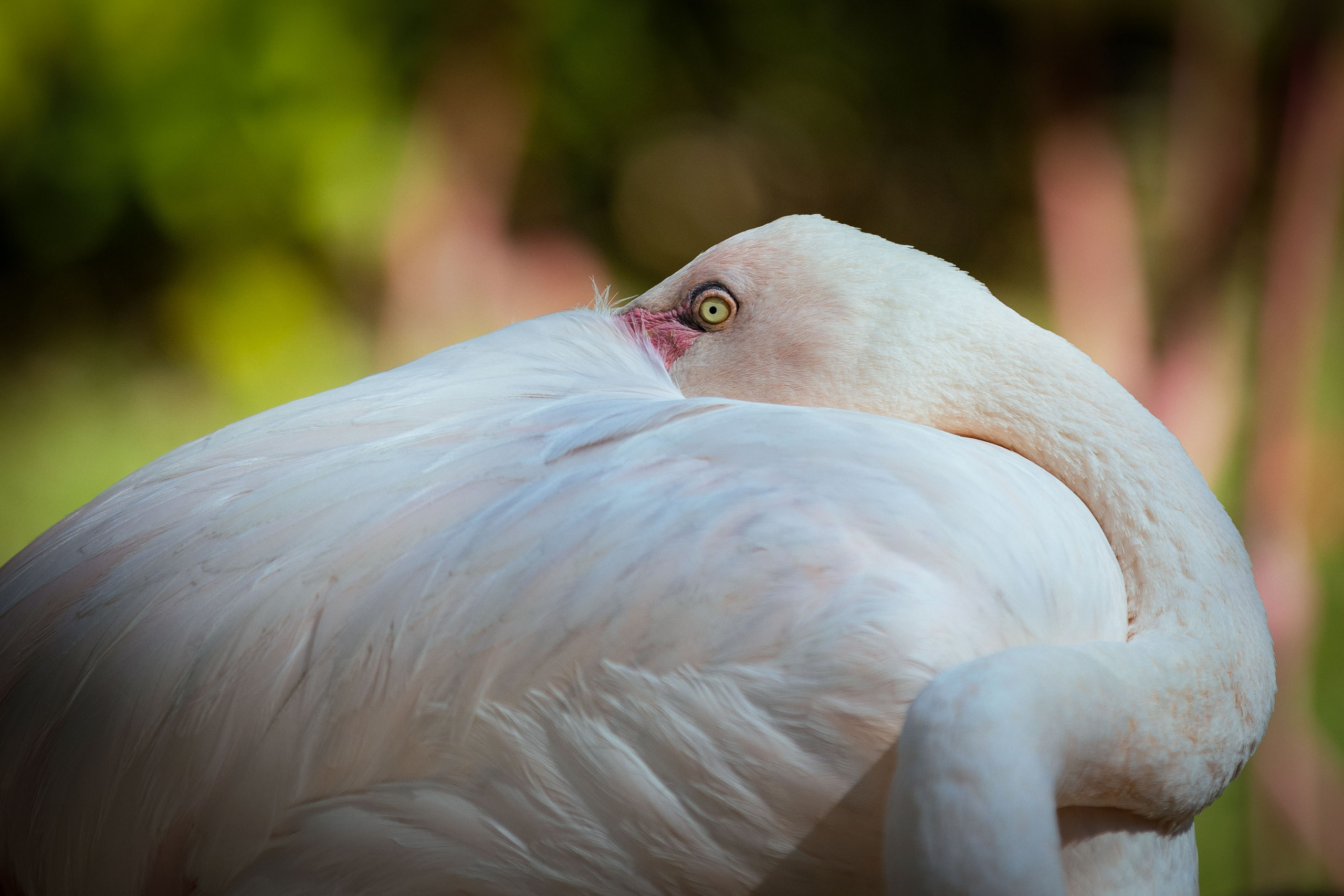Таиланд (зима 2025). Фотограф Виноградов Константин