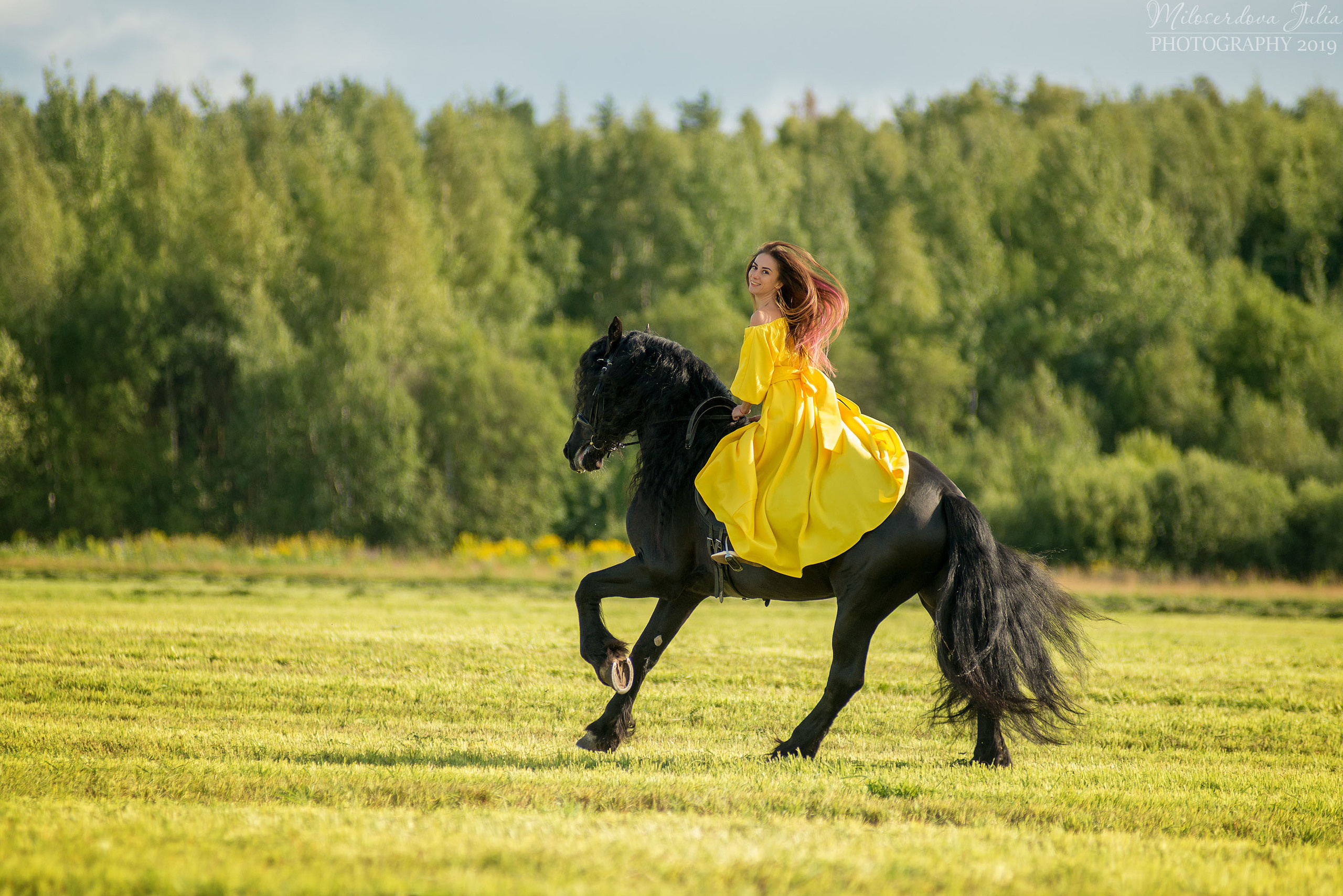 Фотосессии с лошадьми. Фотограф Юлия Милосердова