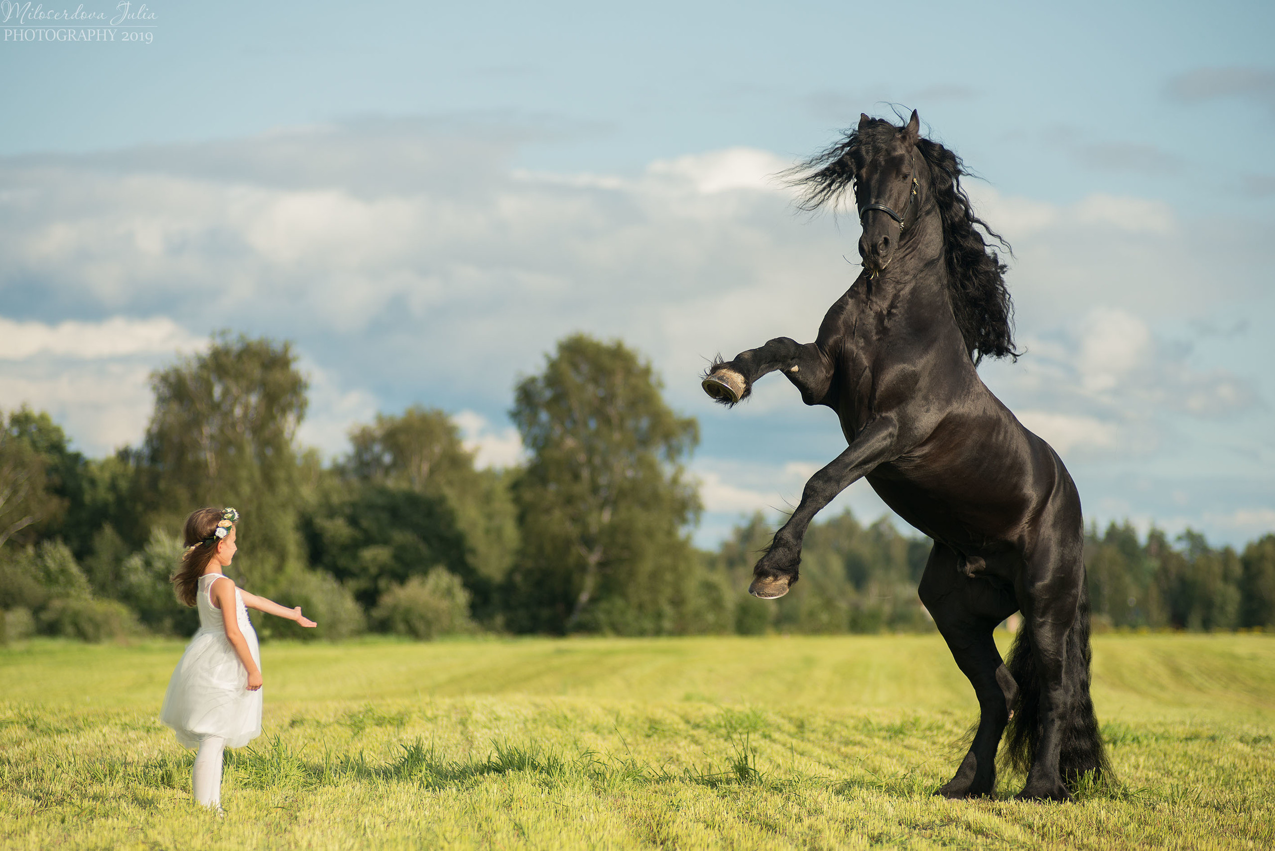 Фотосессии с лошадьми. Фотограф Юлия Милосердова