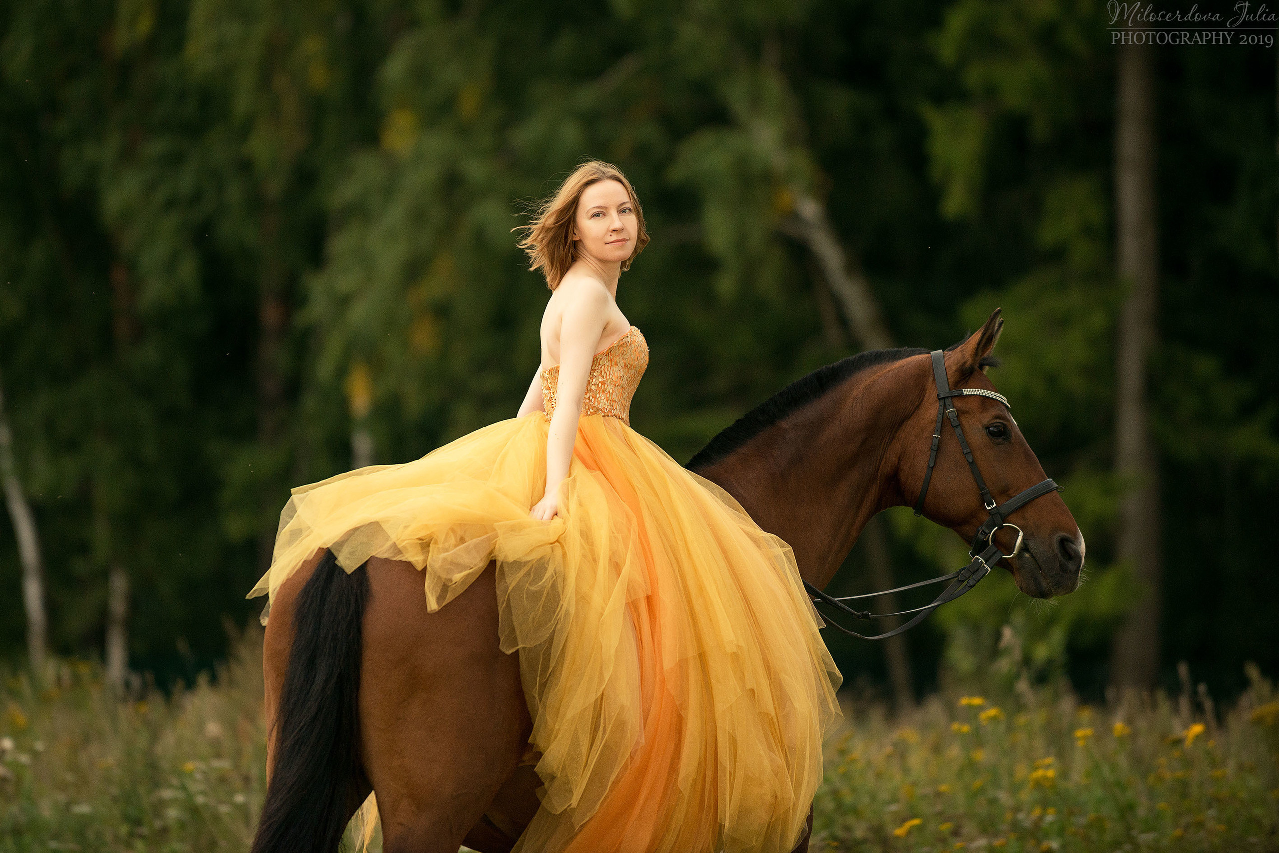 Фотосессии с лошадьми. Фотограф Юлия Милосердова