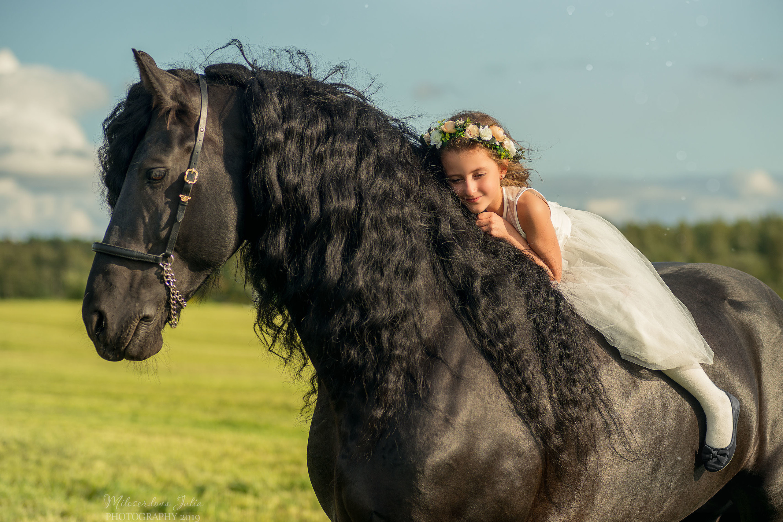 Фотосессии с лошадьми. Фотограф Юлия Милосердова
