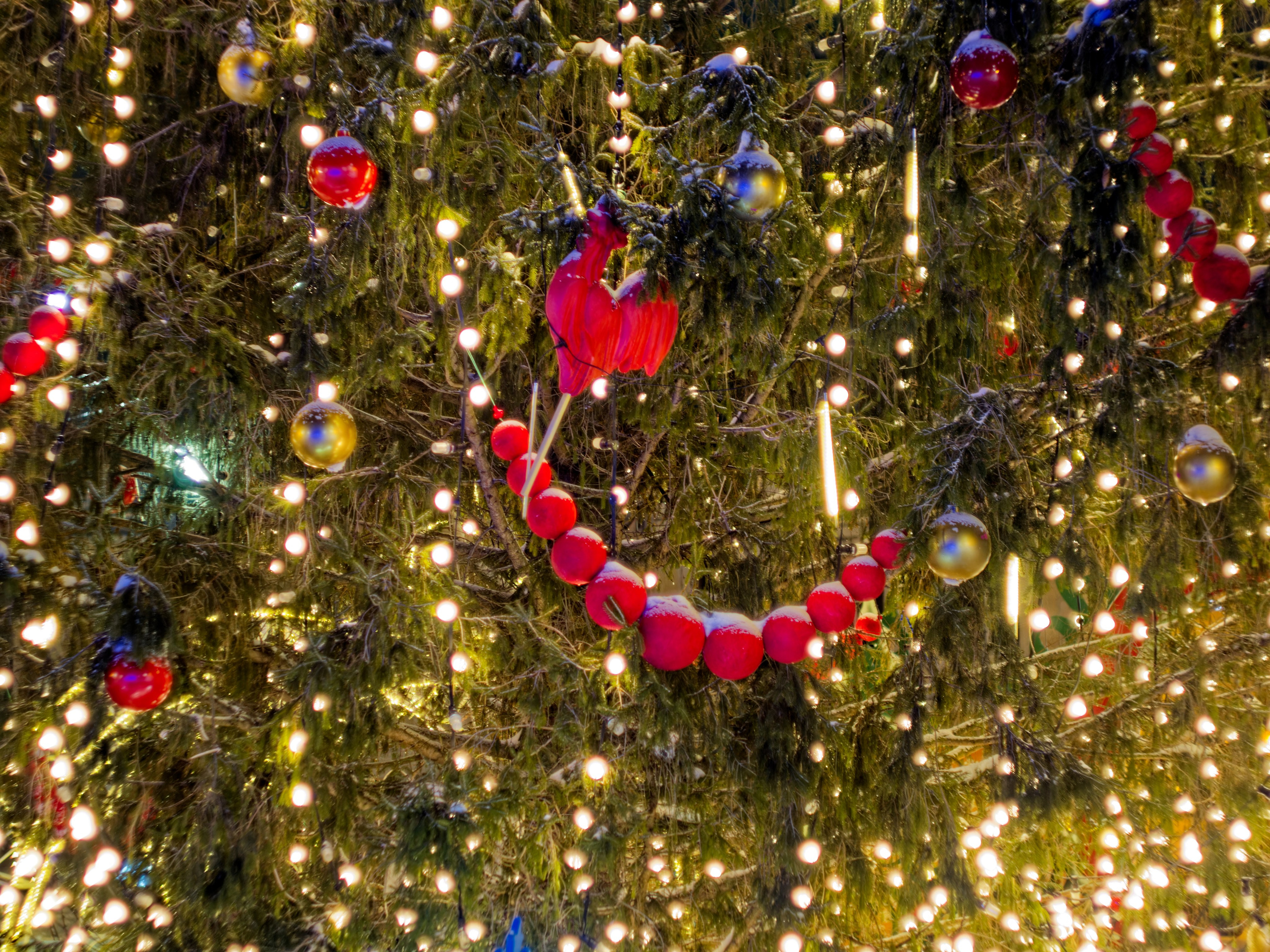 Новый год. Муром-Инфо. Новости культуры, образования, спорта в городе Муром