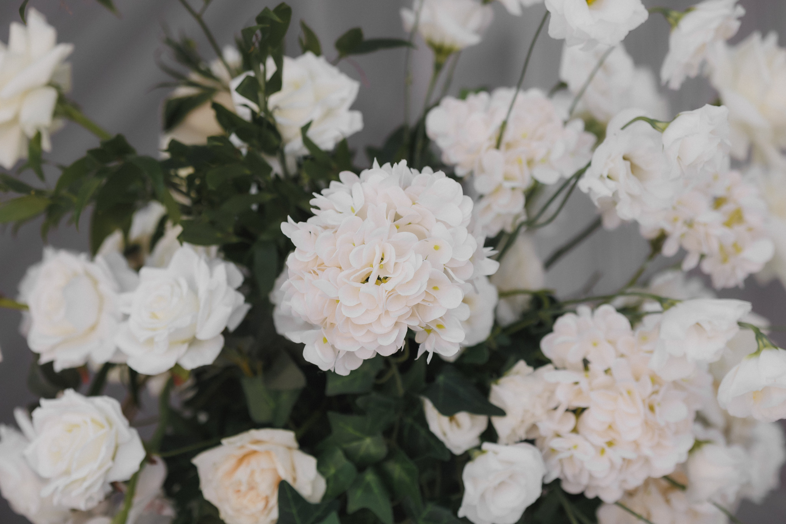 Эдгар и Ульяна. Фотограф в Волгограде — Александра Искандерова