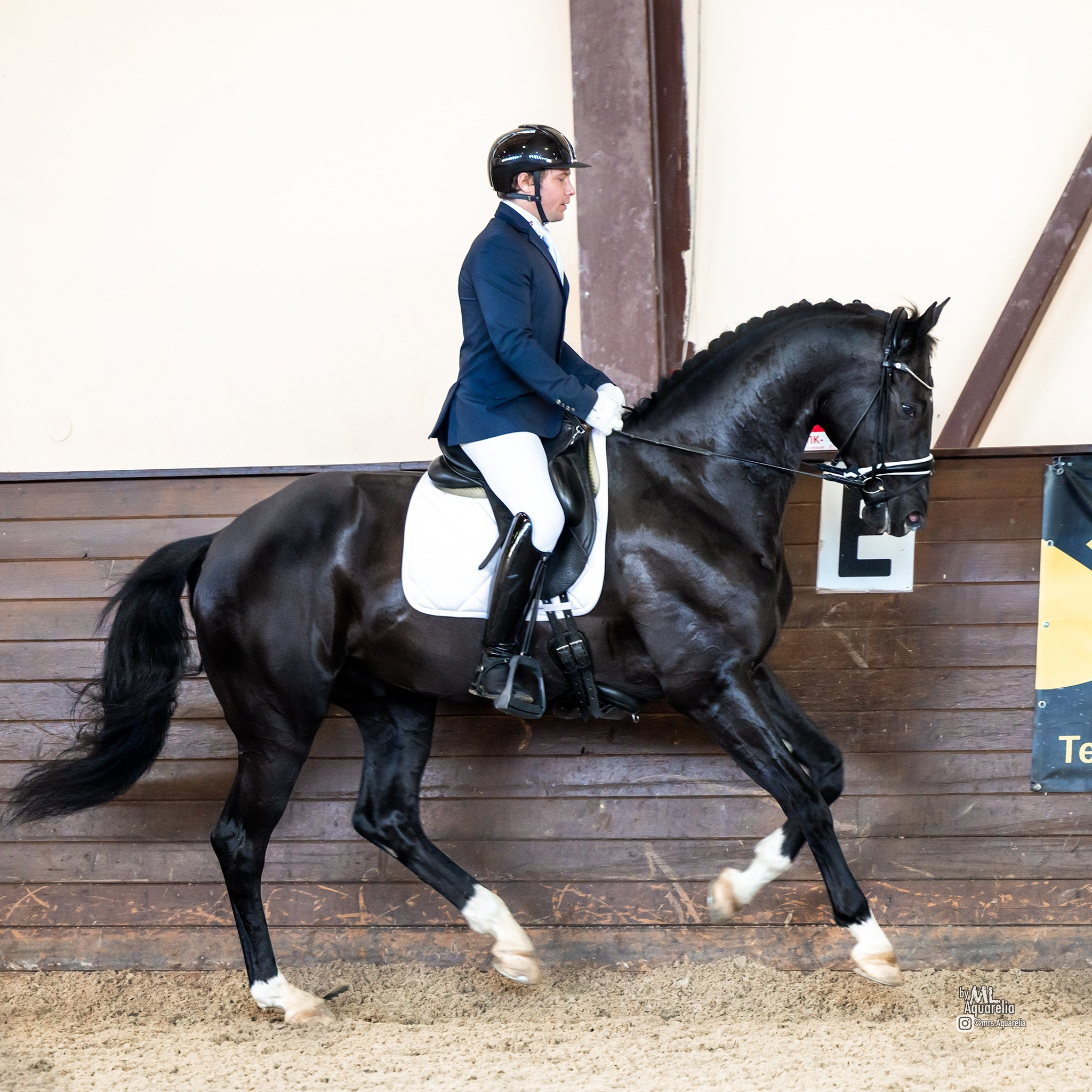 Seminar 5 July Evaluating gates in dressage. Liana Antanovich | Equestrian Strategies