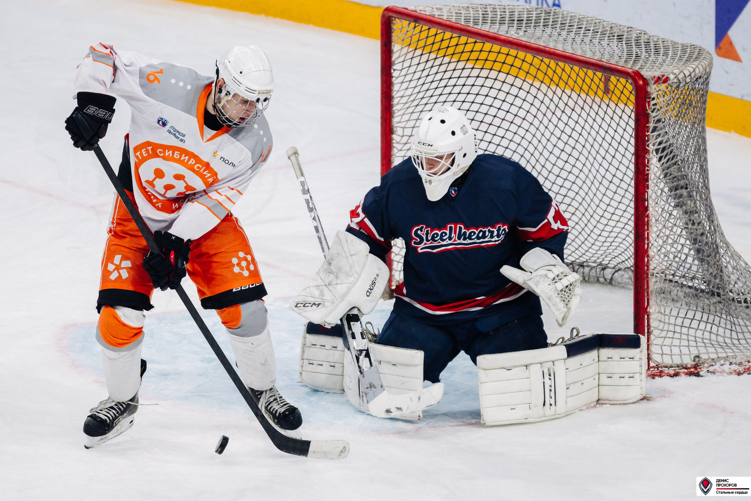 «Стальные сердца» — «СФУ» // 07-08.02.25. Денис Прохоров Фотограф в г. Магнитогорск