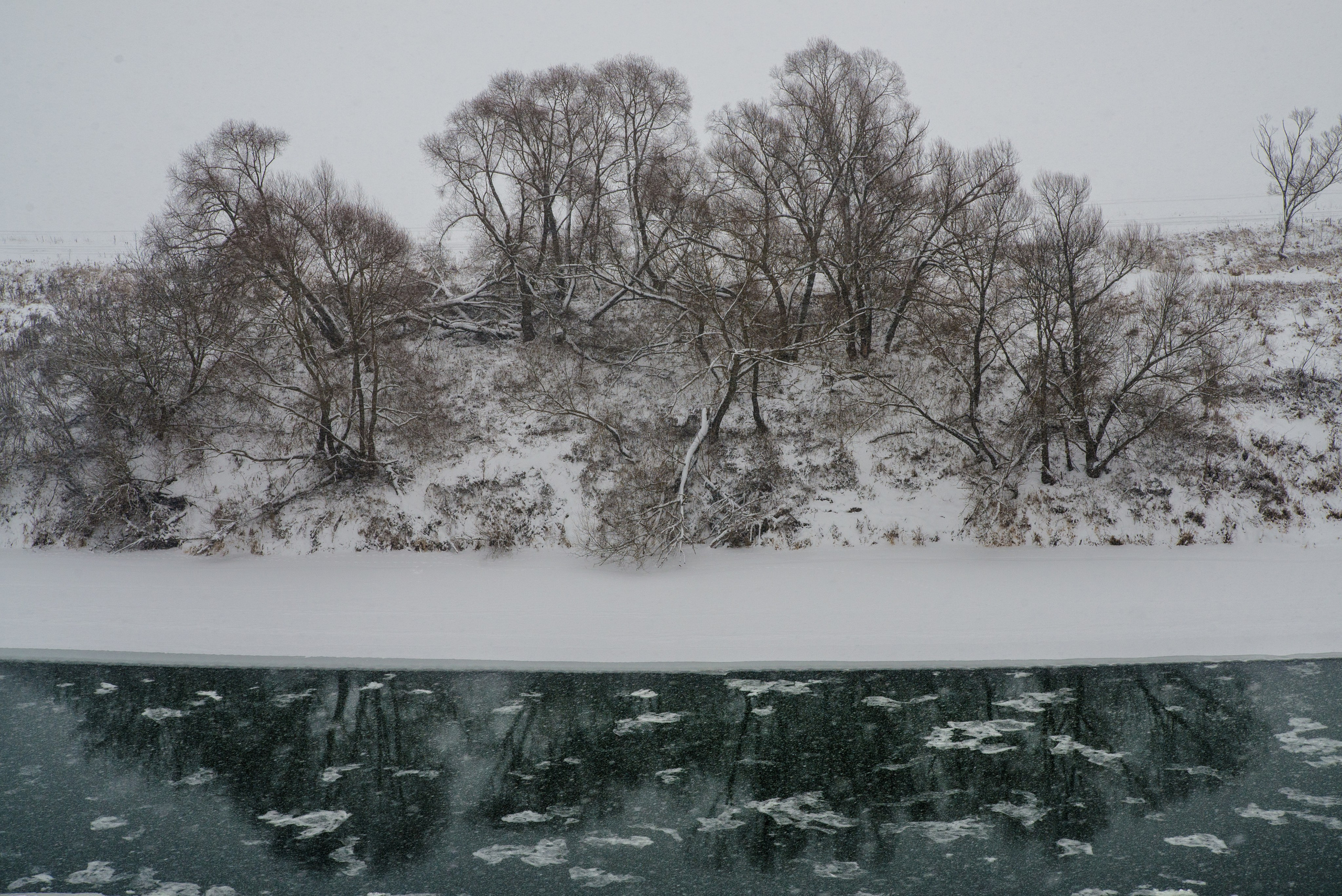 Singles 2. Alyona Kochetkova | Photographer and photography educator