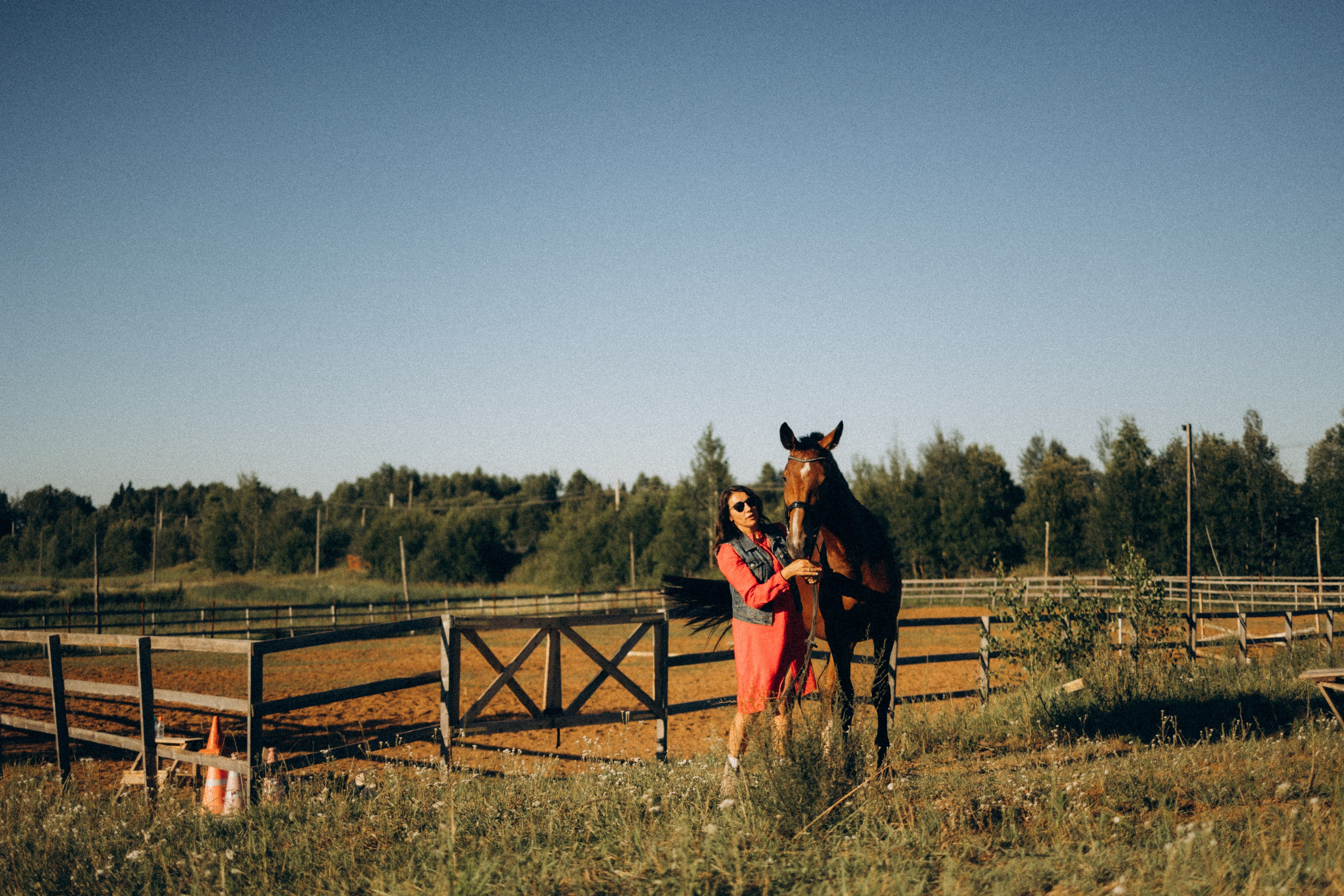 А в деревни лошади. Фотограф Москва Светлана Кирюшина