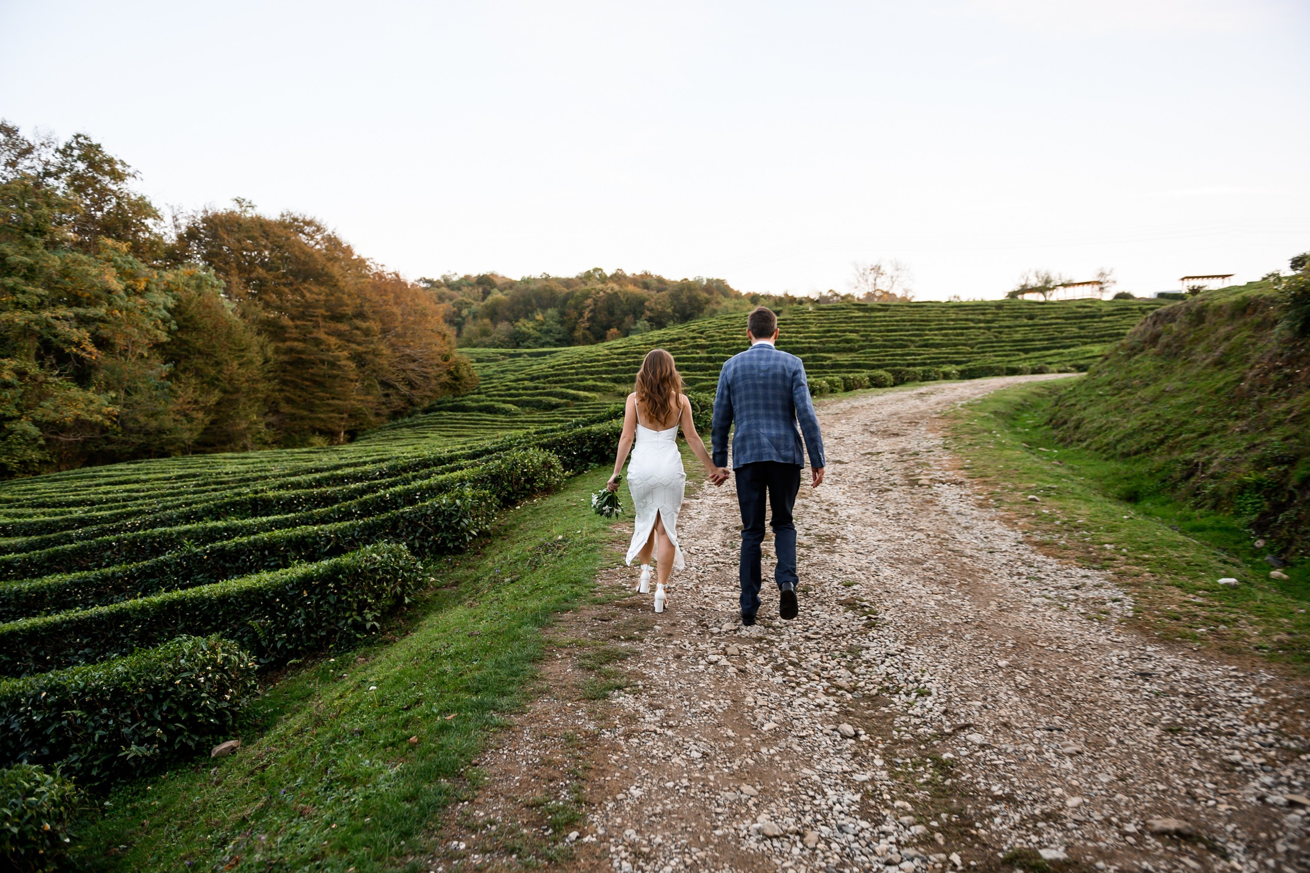 Чайные плантации. Олег и Светлана. Свадебный и семейный фотограф София Невская