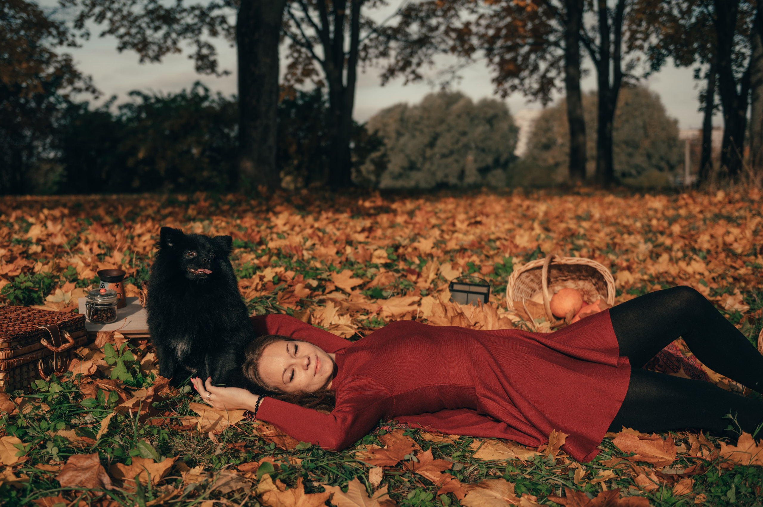 Дождь из листьев. Свадебный и семейный фотограф София Невская