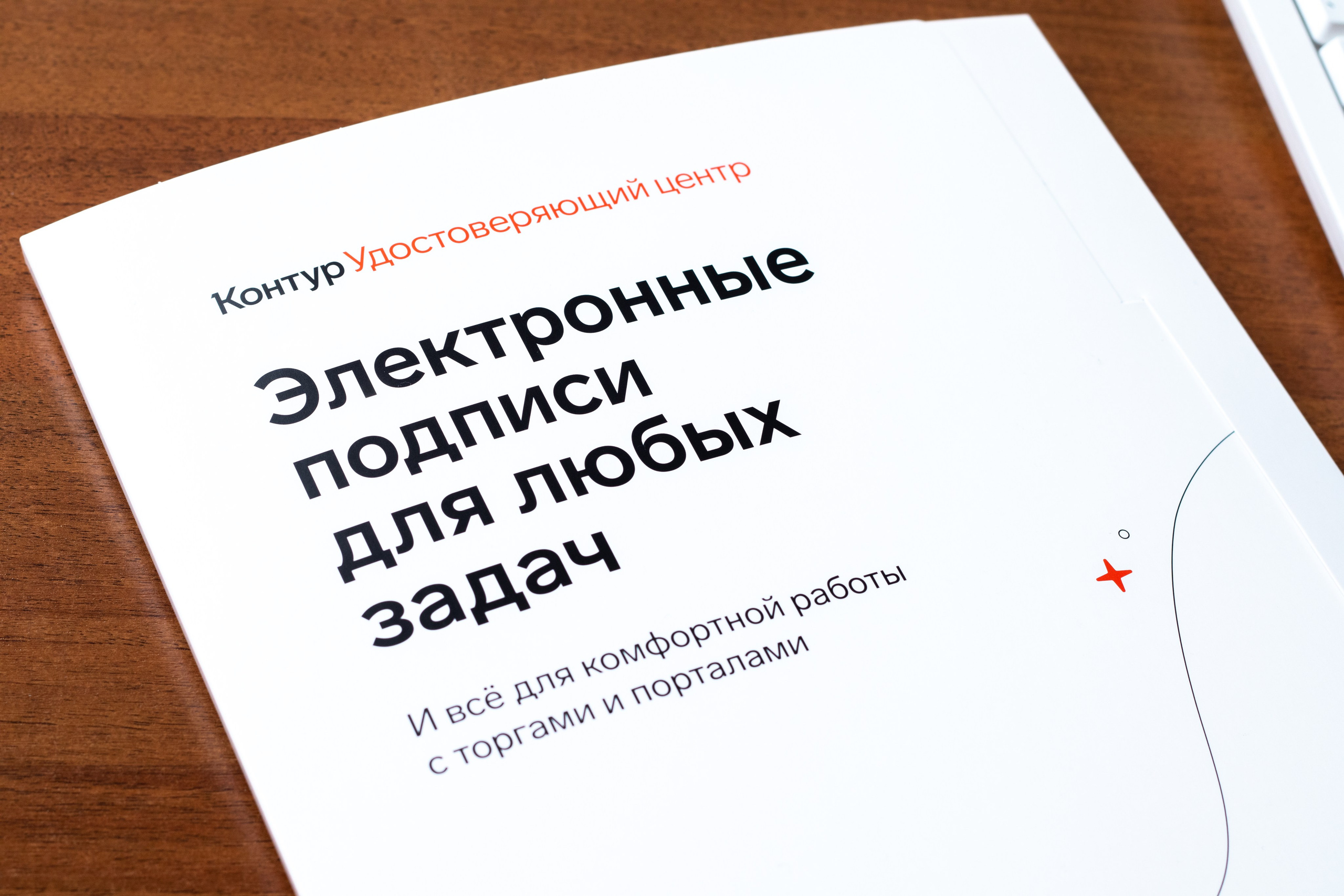 Компаниям. Фотограф видеограф в Ростове-на-Дону Анастасия Зиновьева