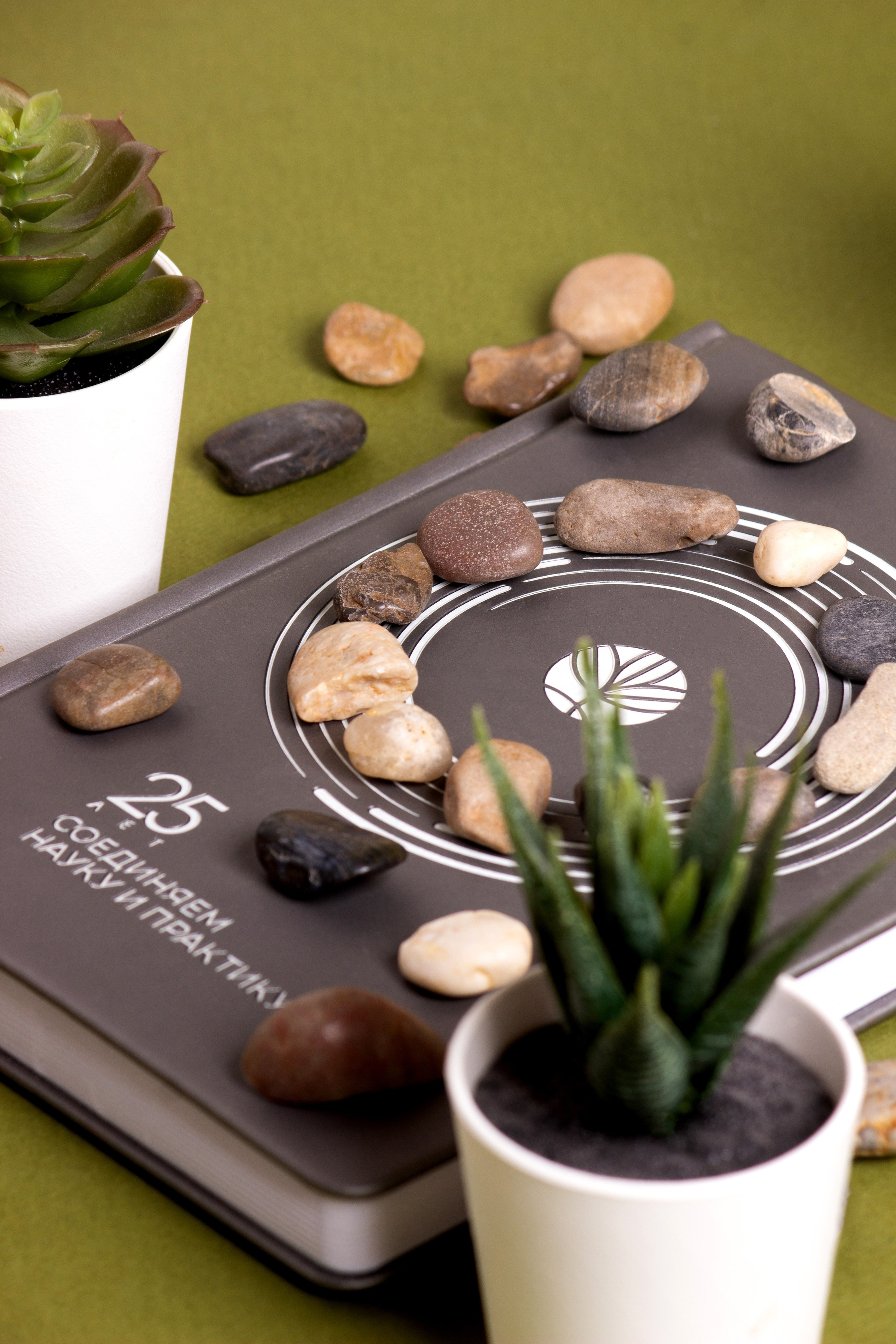 Щелково. Фуд-фотограф в Москве | Профессиональная съемка блюд и еды | Горбачёв Виталий