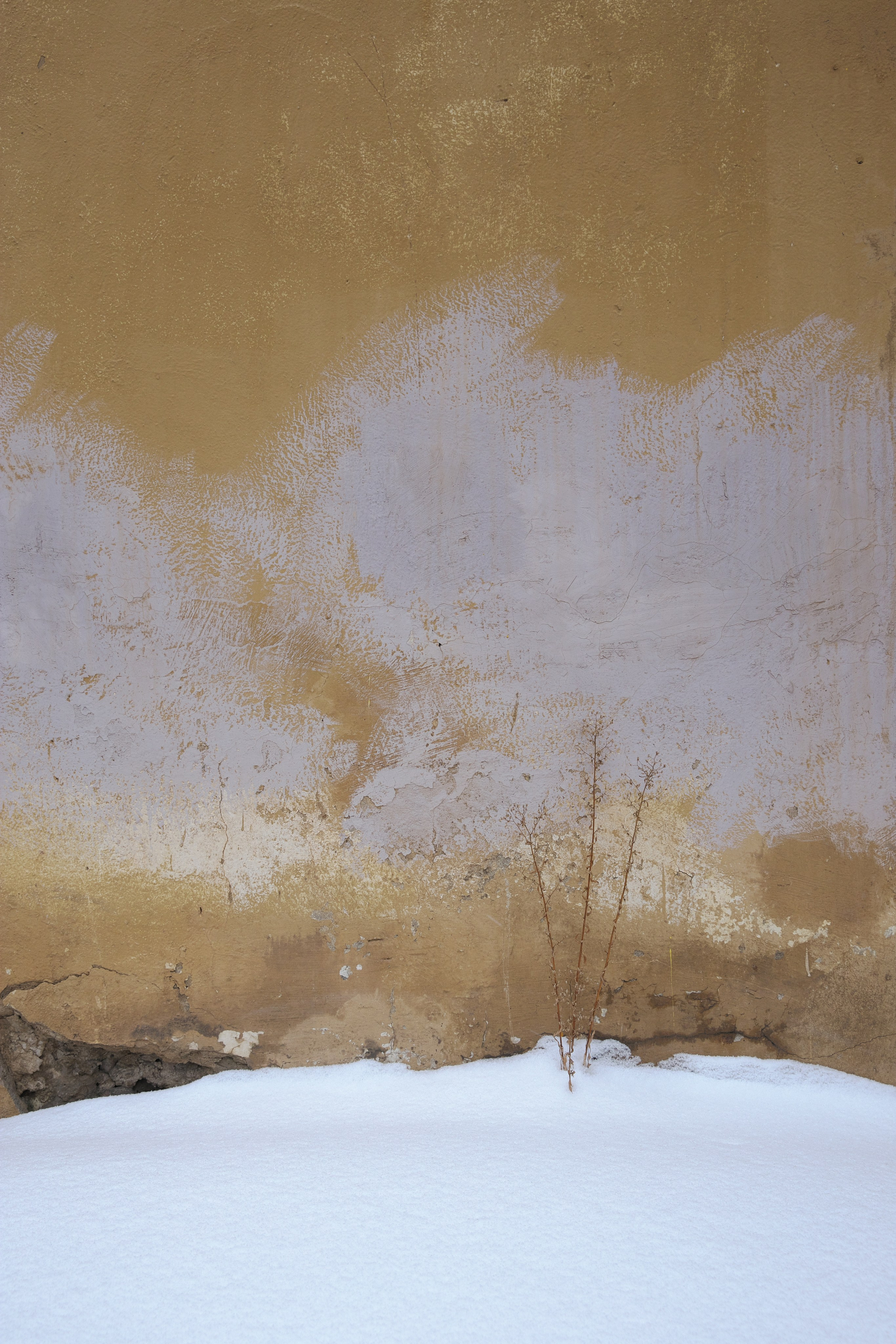 Стены. Миша Печёнкин | фотография