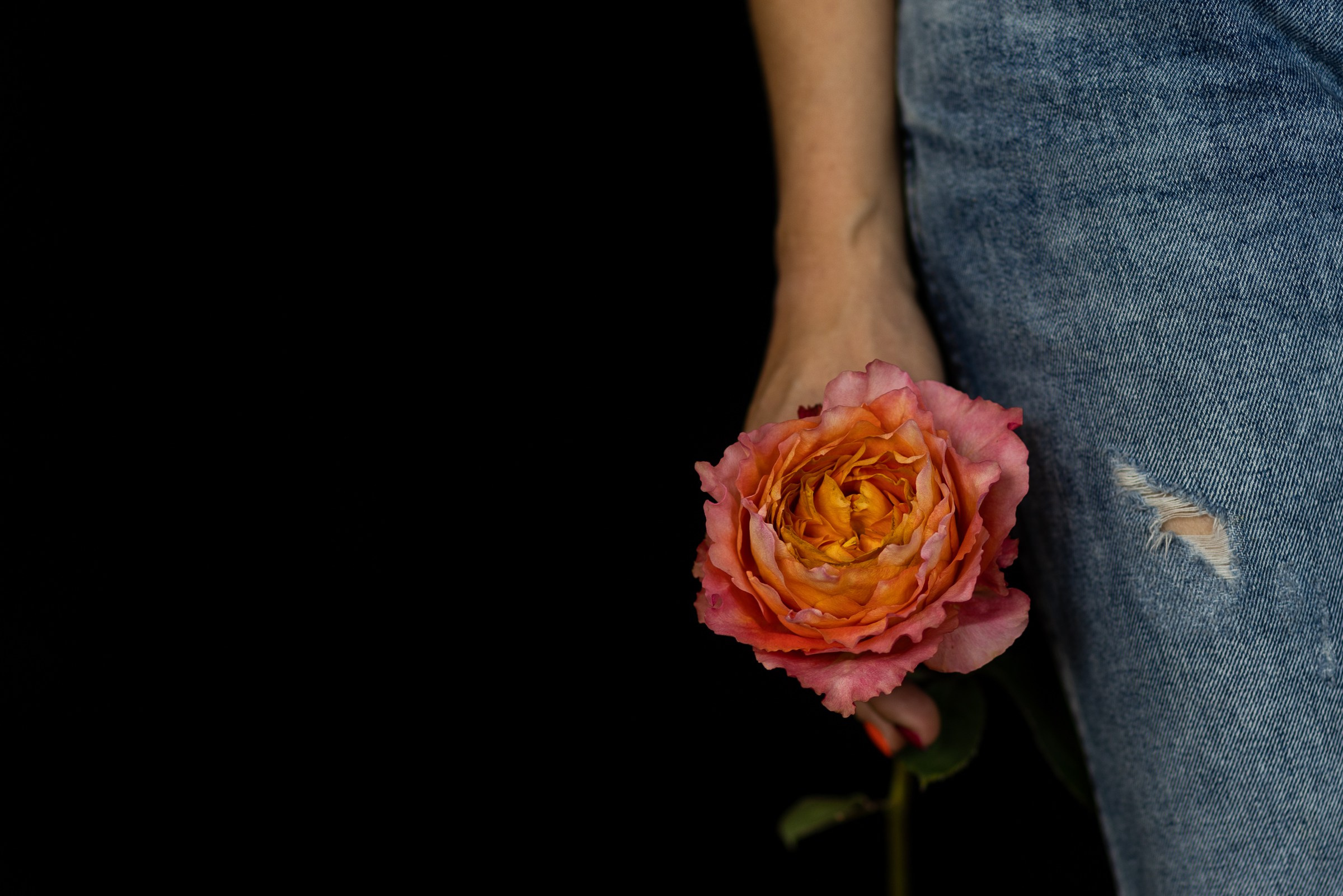 Автопортреты. Главная