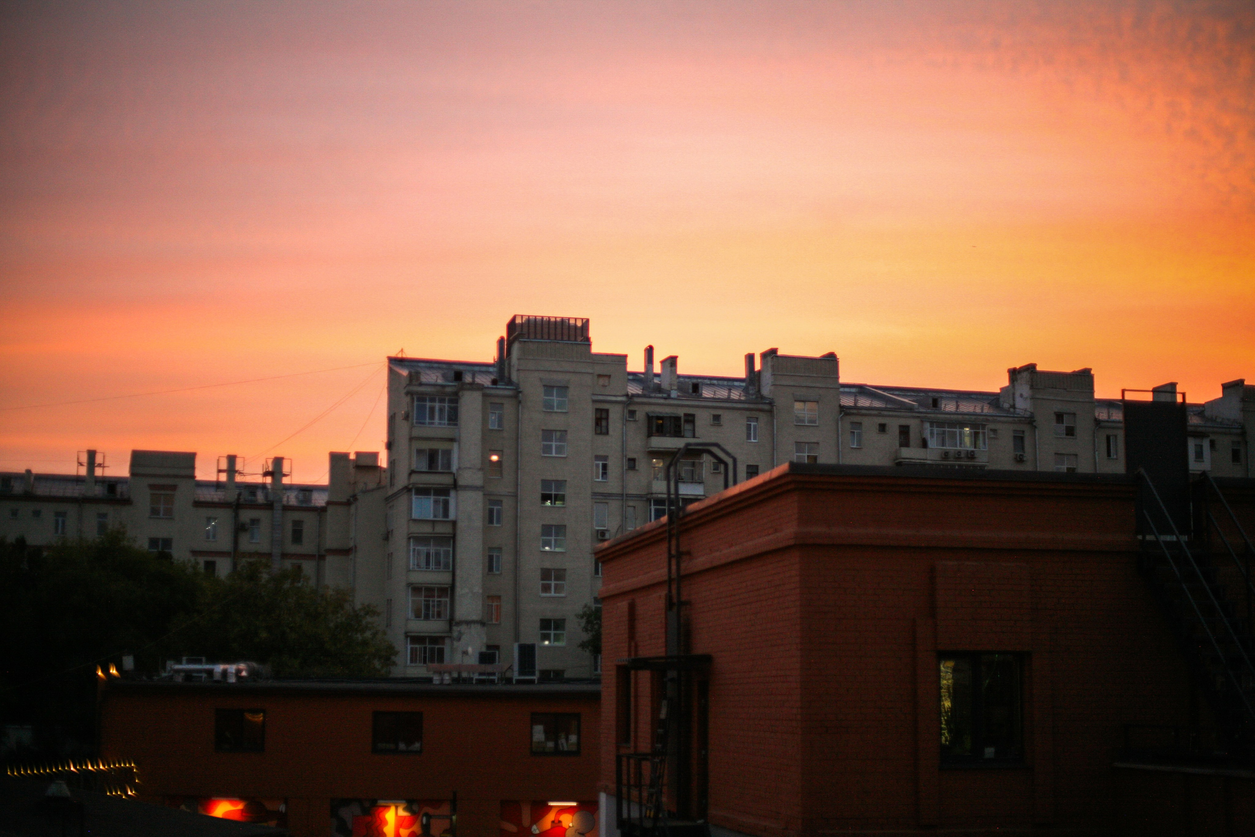 Аня и Кирилл (полный день с росписью). Фотограф Екатерина Максимова: семейные, индивидуальные съемки, свадьбы