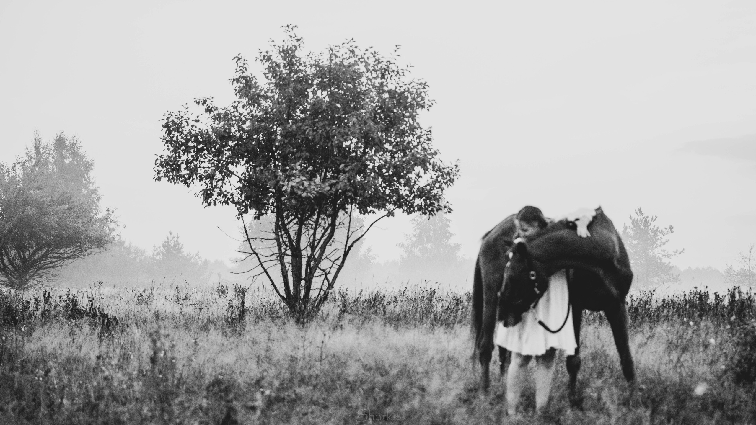 Аня и Гас. Главная