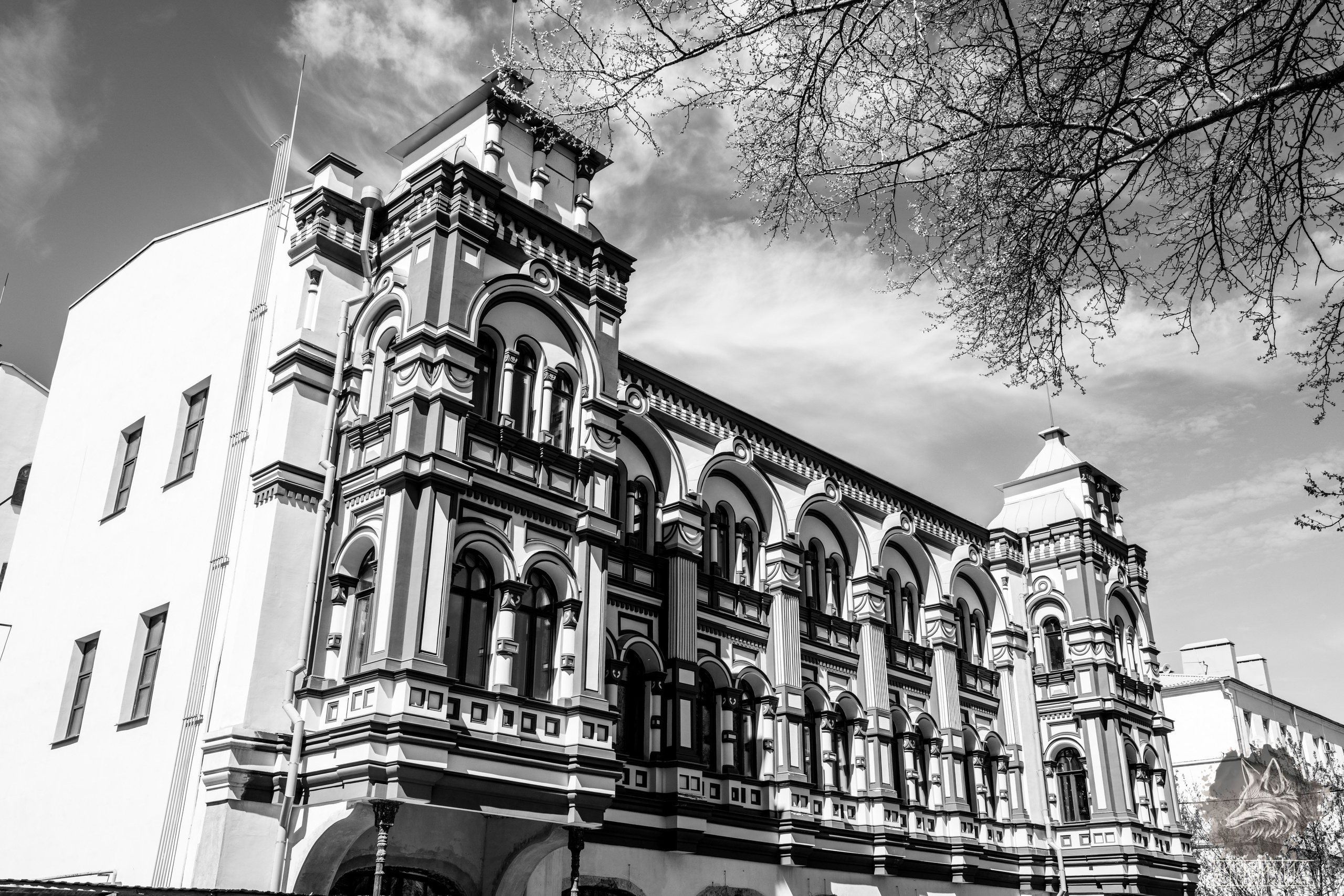 Дмитров-Рыбинск-Мышкин-Калязин. Фотограф-путешественник Самойлов Максим «Sly Fox»