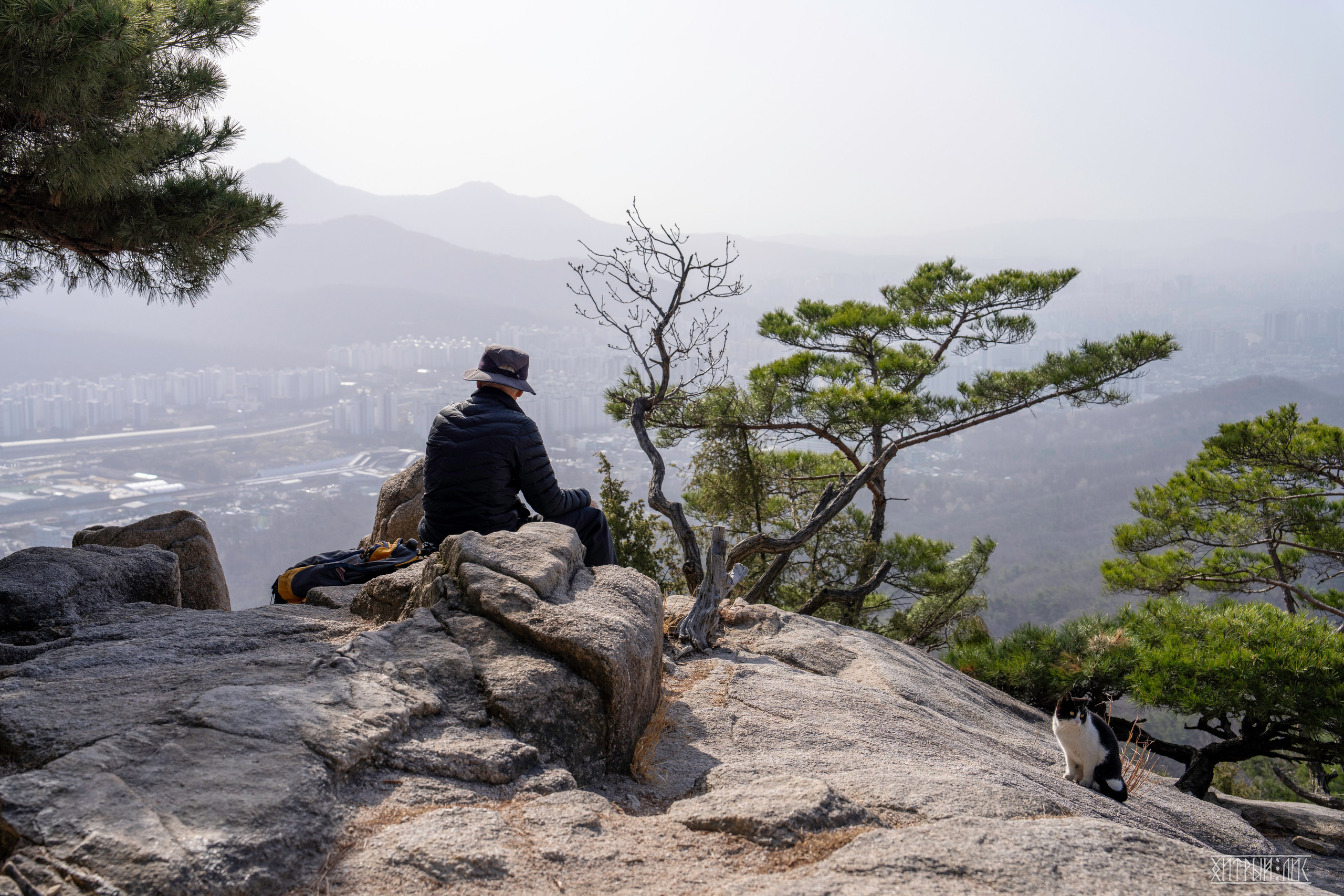 Южная Корея. Фотограф-путешественник Самойлов Максим «Sly Fox»