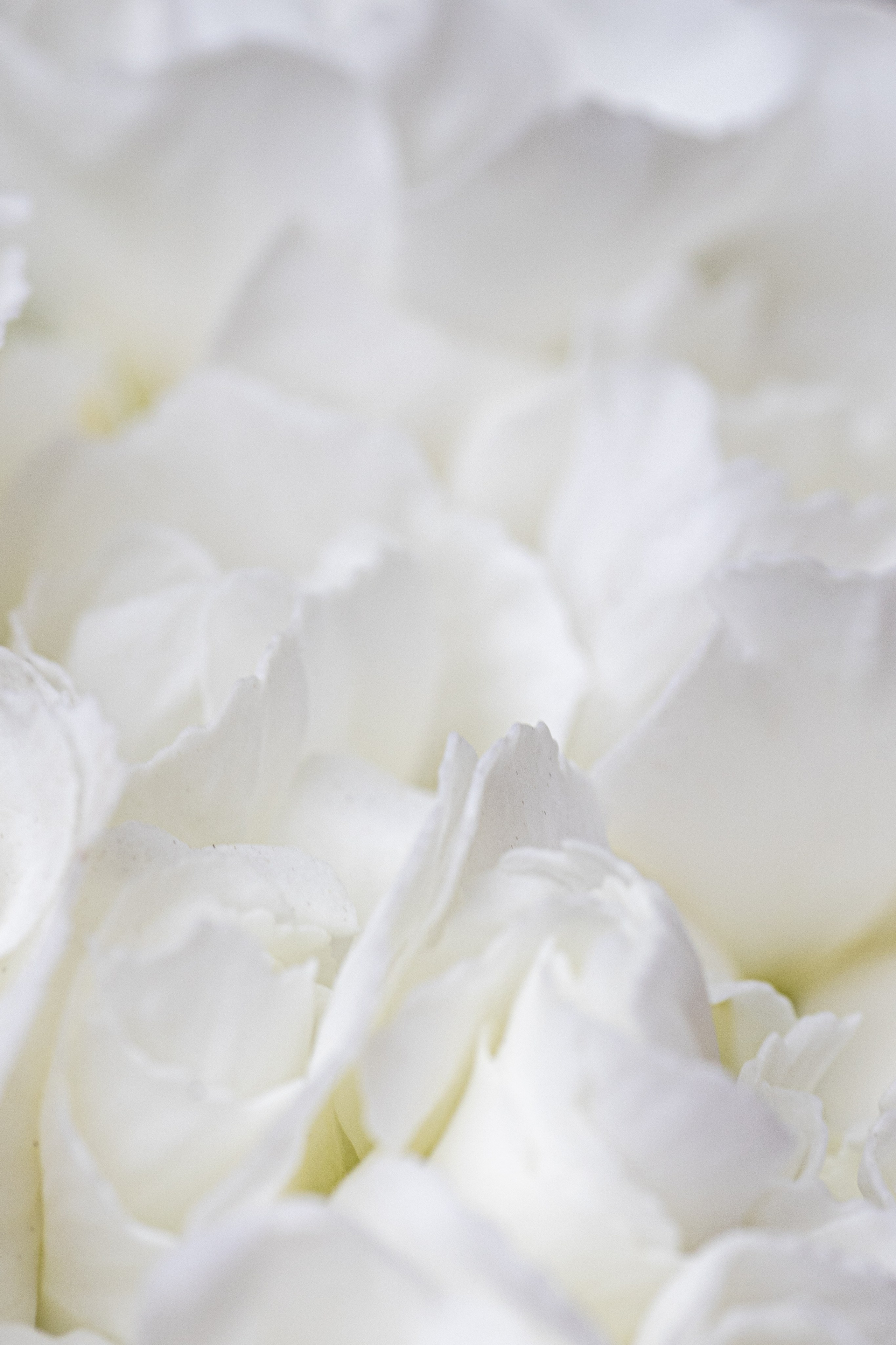 Macro. Фотограф на Юге России