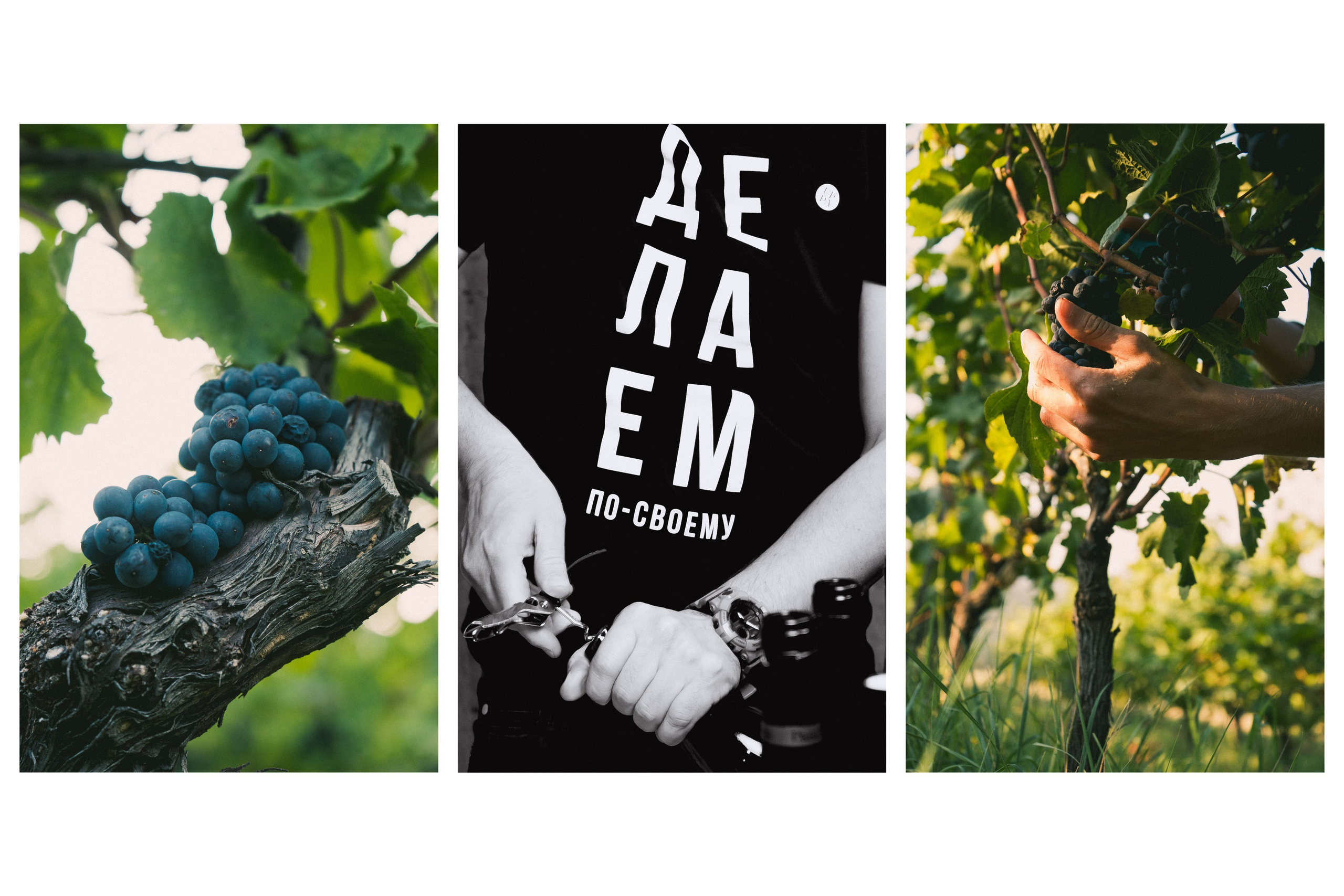 Фотосъёмка для Бизнеса на Пхукете – контент для продвижения, рекламы и маркетинга. Ян Долматов — фотограф, видеограф и продюсер на Пхукете, Таиланд