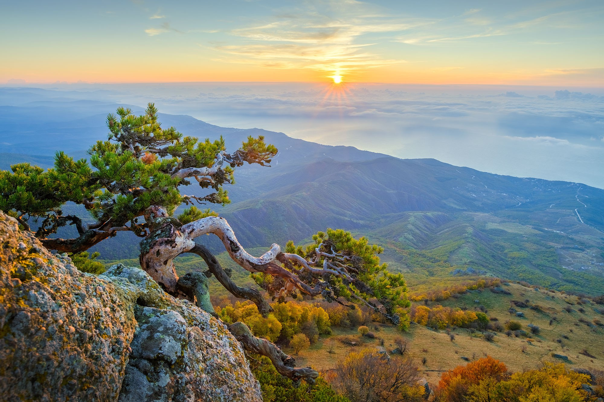 «Золотая осень в Крыму 2025»