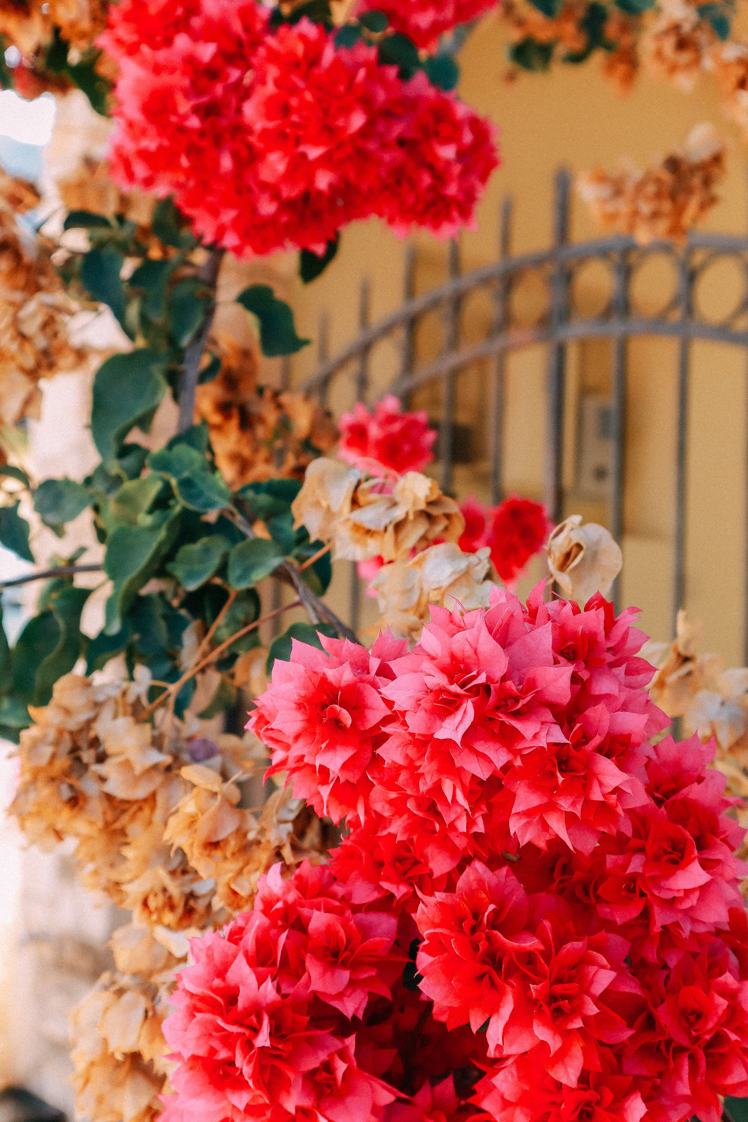 Крит. Аня Степанова