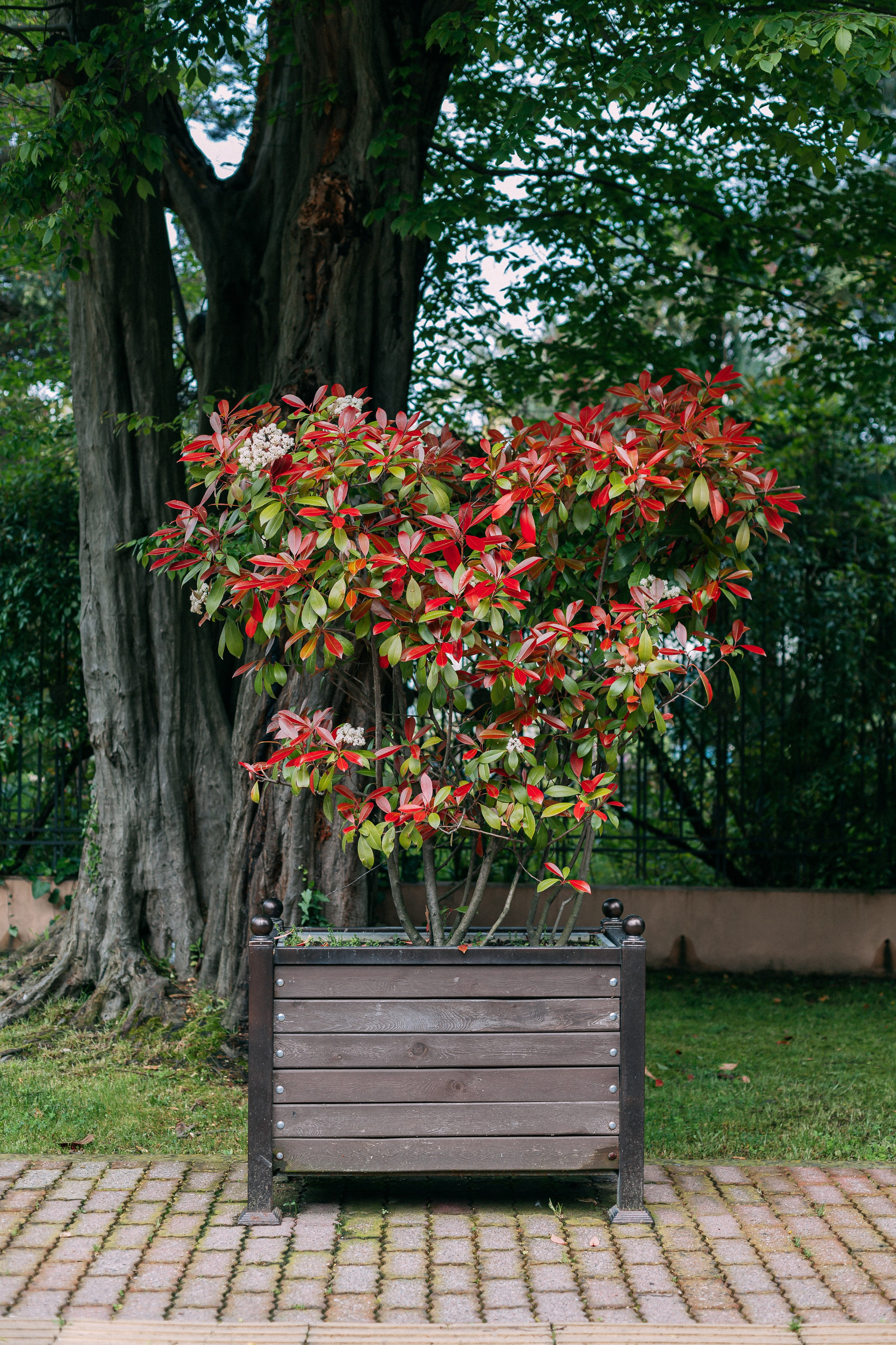 Сочи. Аня Степанова