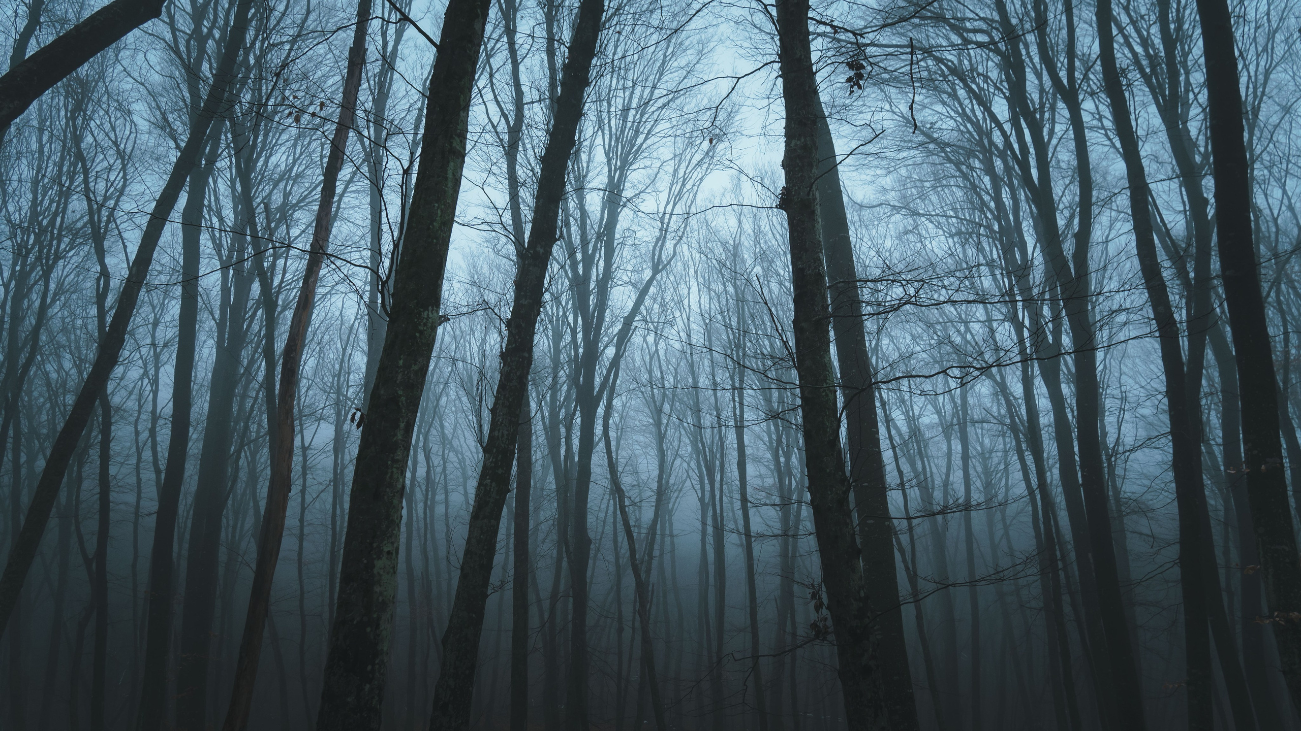 Анастасия. Портретный и репортажный фотограф в городе Ставрополь