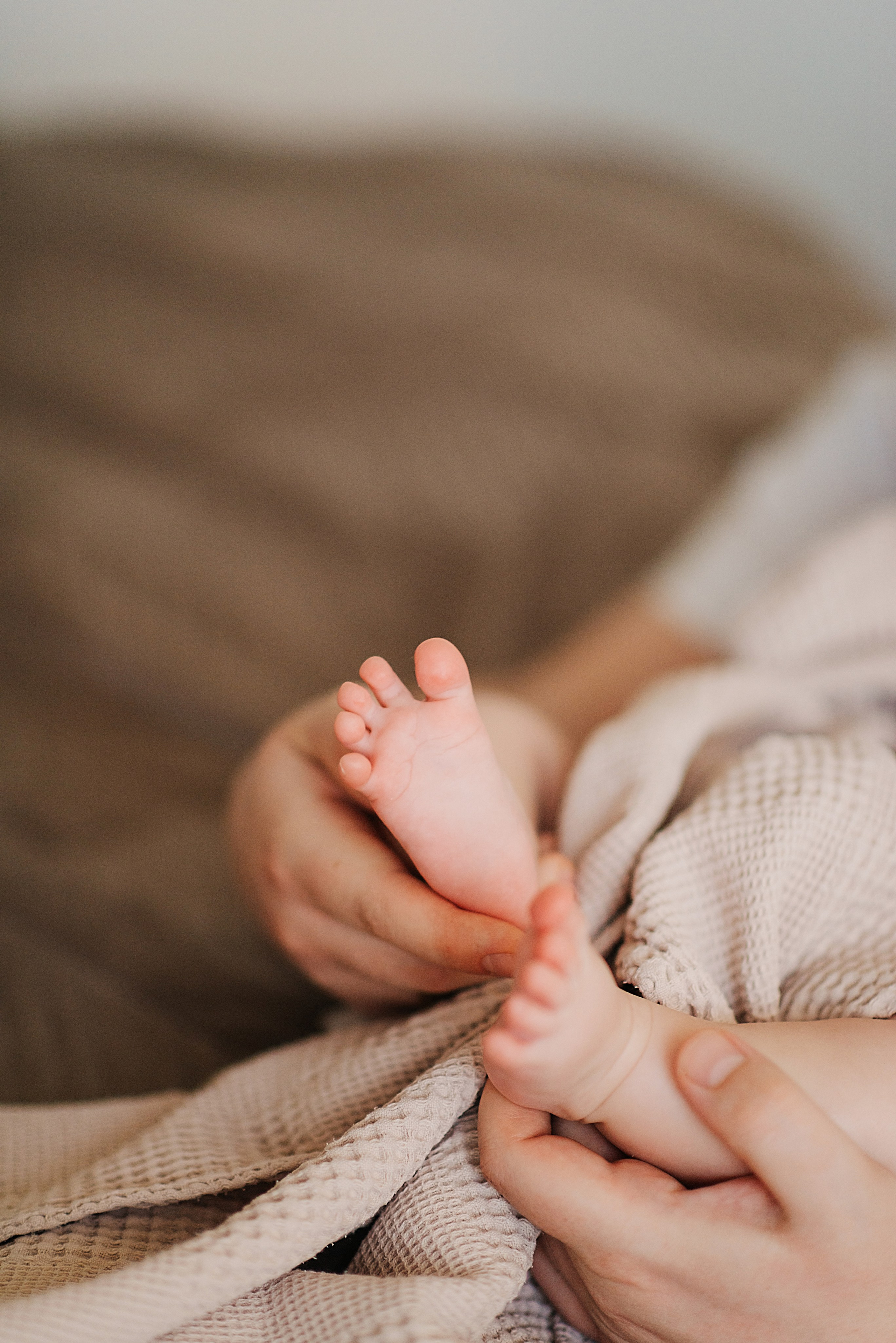 Петровы дома. Свадебный и семейный фотограф в Ростове-на-Дону Дарья Герасименко