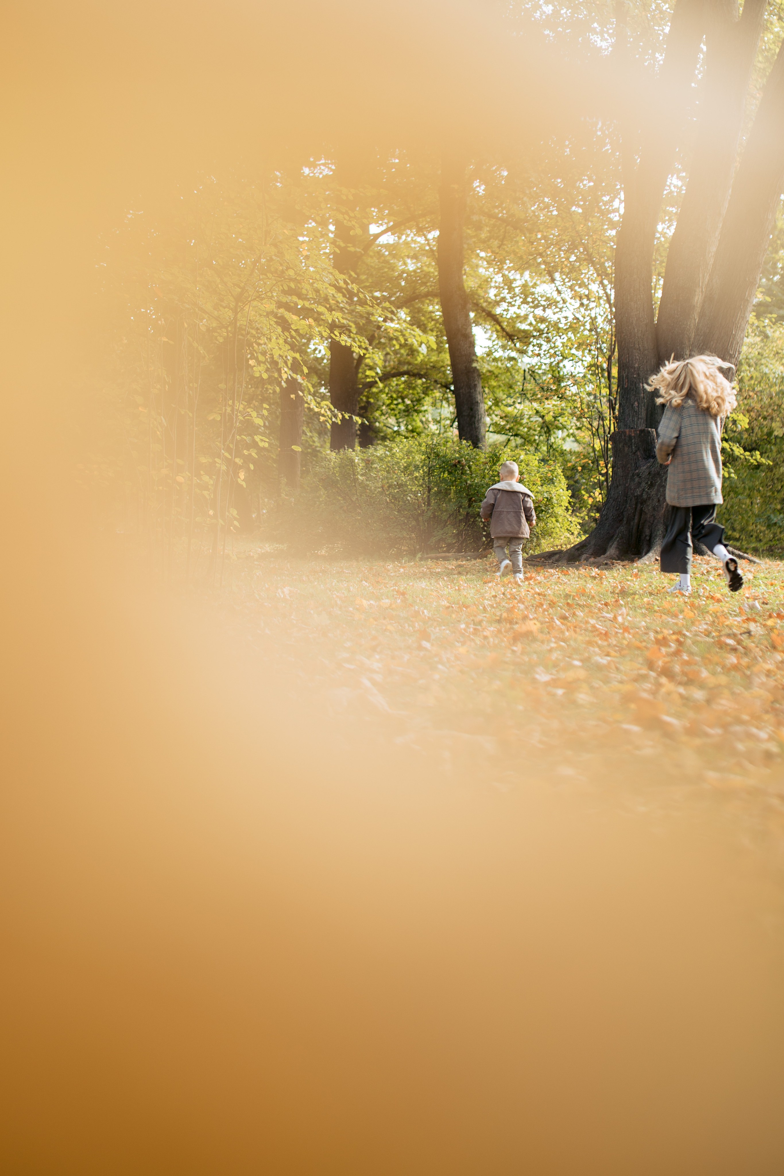 Семейная фотосессия в парке, прогулка по парку. Фотограф Валерия Горбунова Подольск Бутово Видное Щербинка