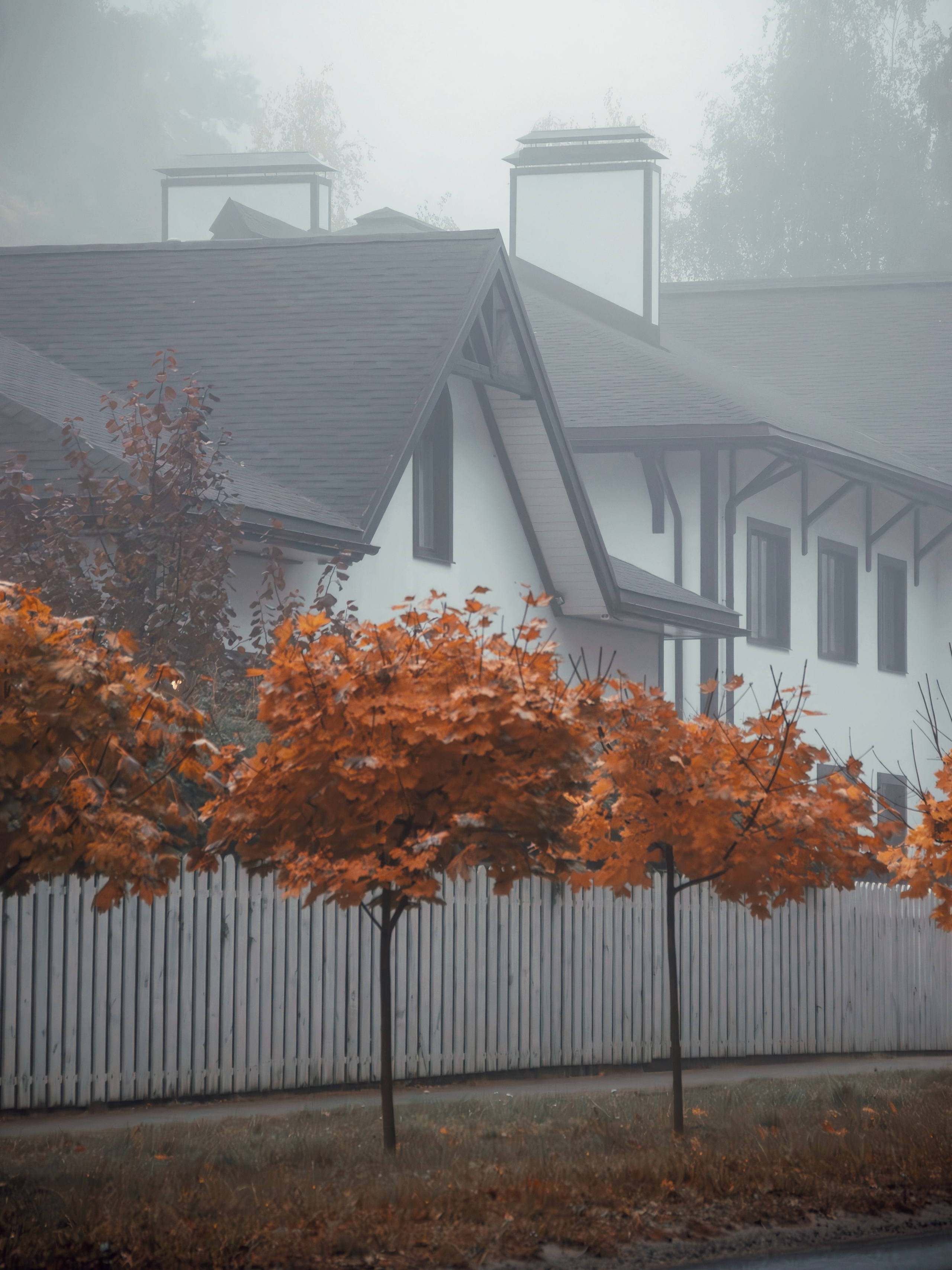 Октябрьский туман. С любовью, фотохудожник