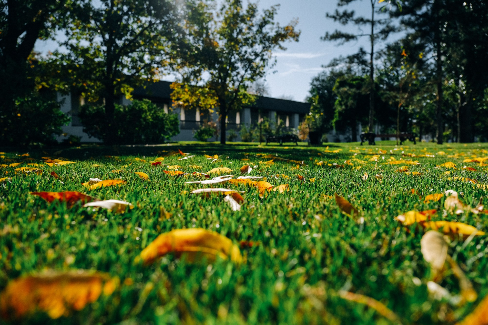 Разное. Фотограф Анатолий Деникин