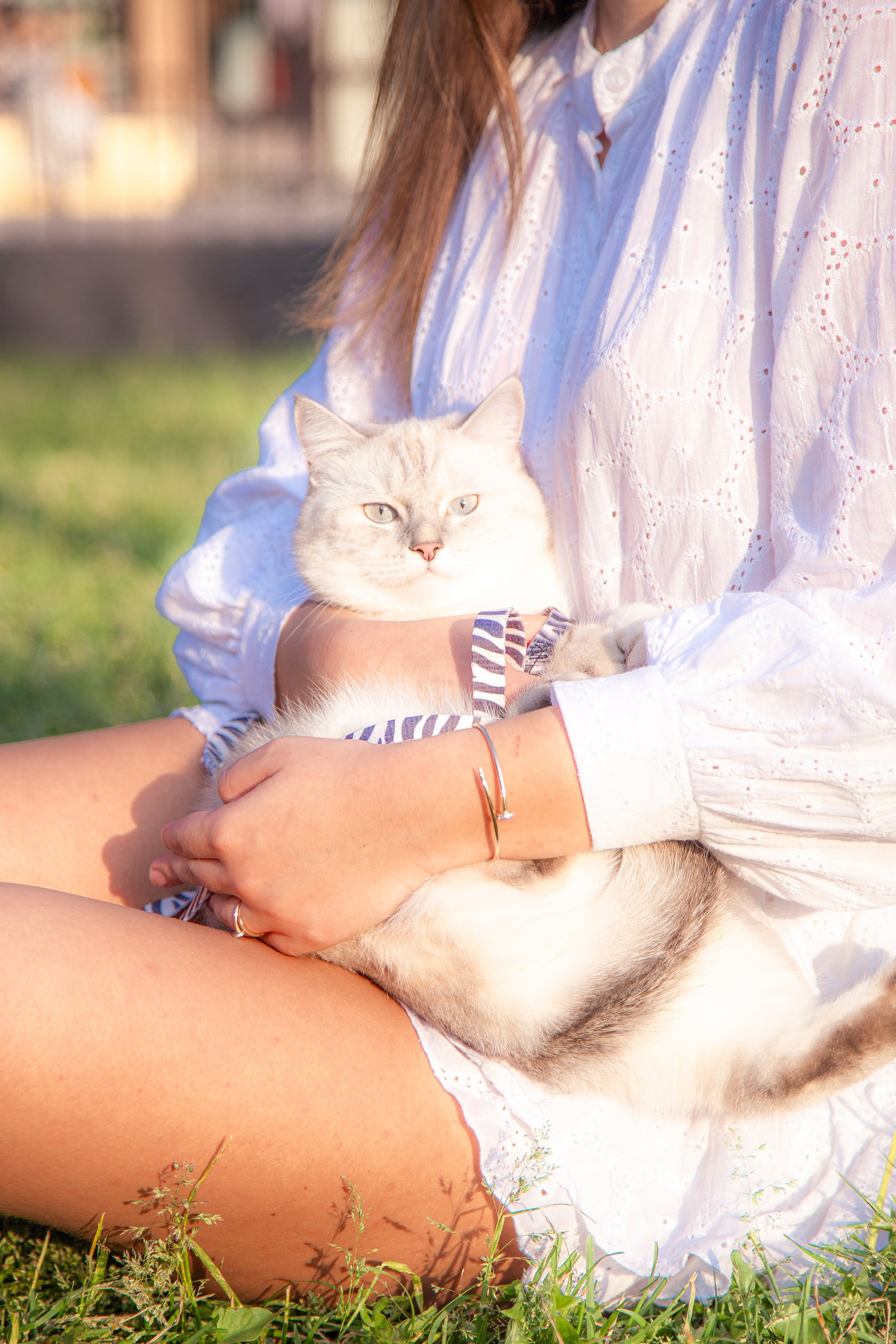 В моде тёплые коты. Репортажный и портретный фотограф Казань / Горячих Полина