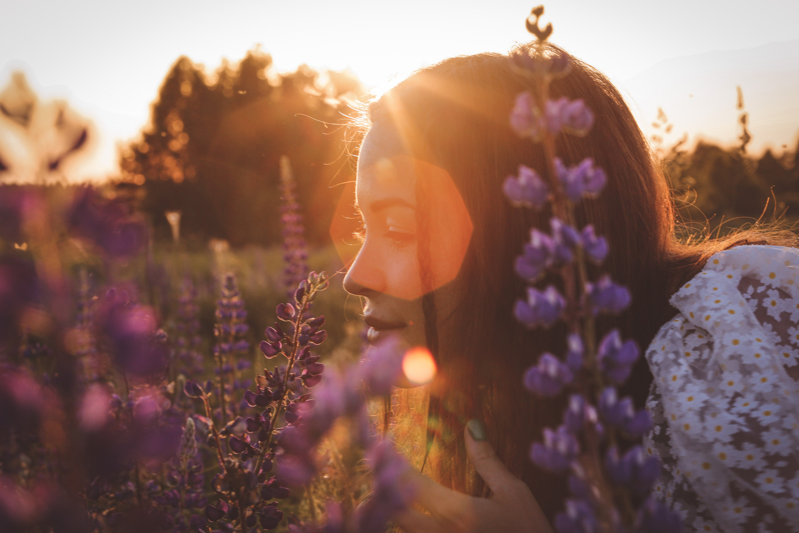 Среди люпинов. Efremovaphoto.ru