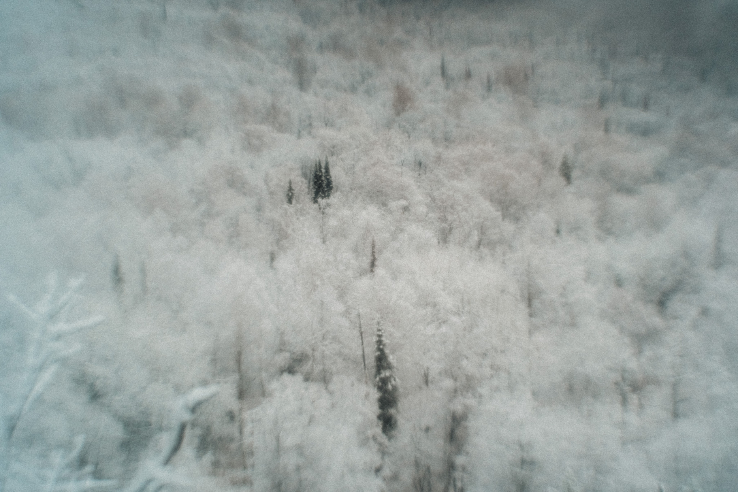 Айгир. Andrew Sozonov visual artist