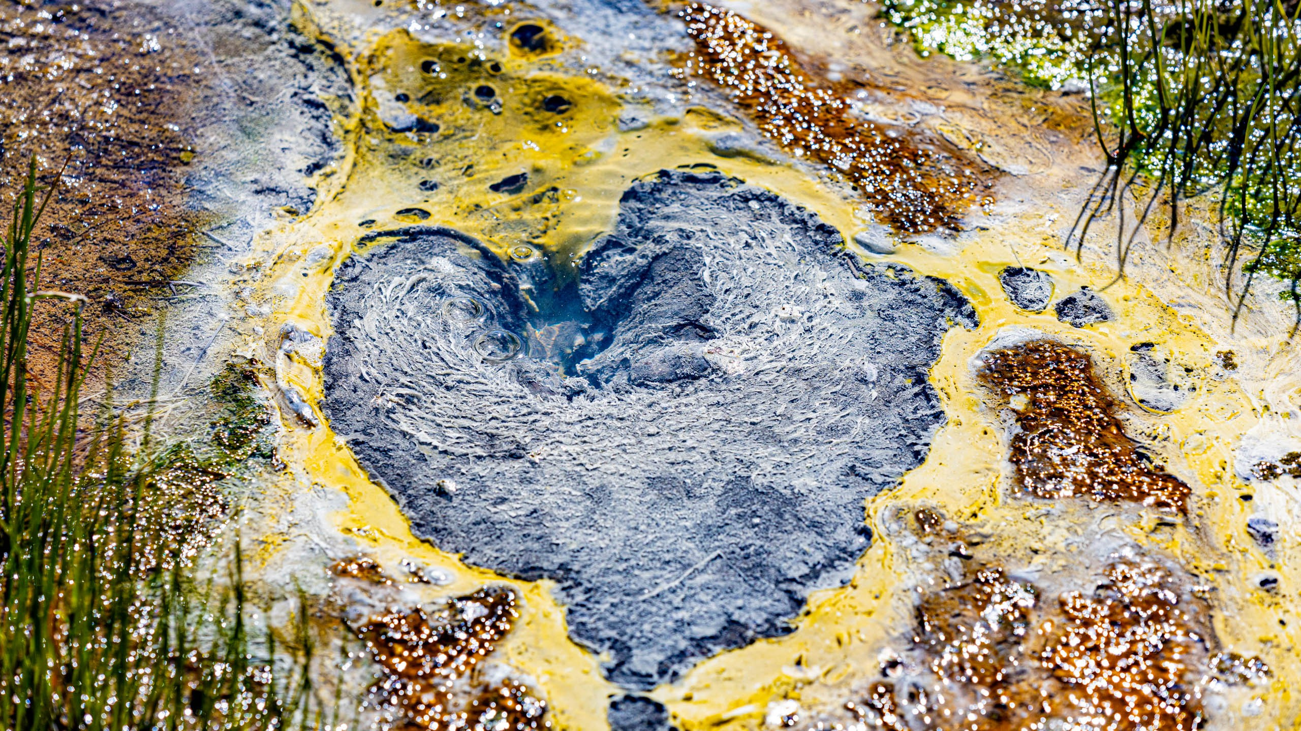 2023 07 Камчатка. Фотографии