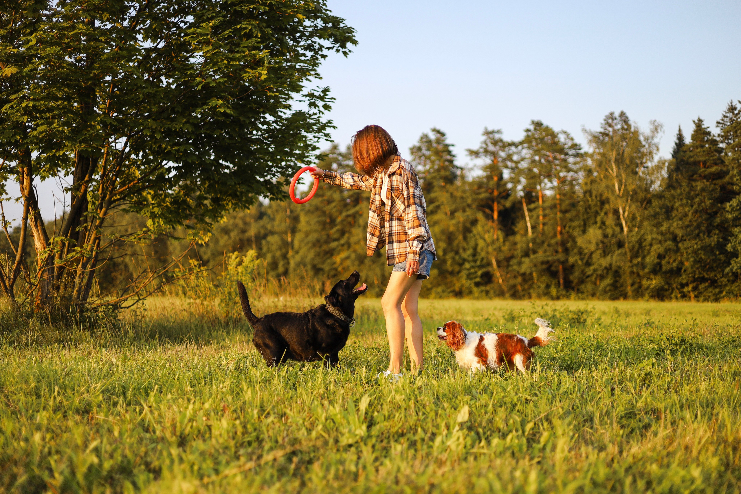 Бонни, Лея и Лера. Фотограф-анималист Ксения Шевцова|Москва