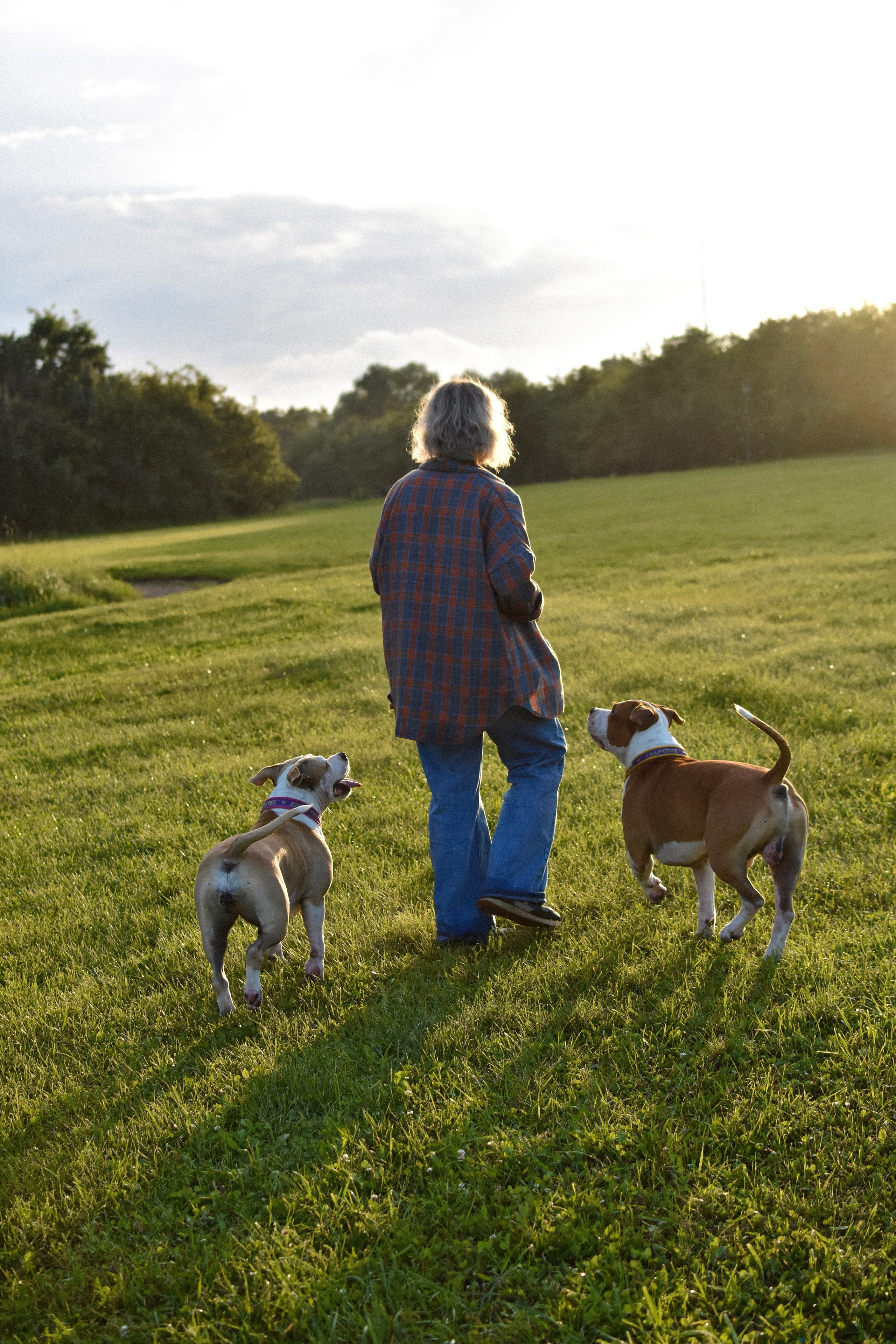 Стив, Стеша и Маша. Фотограф-анималист Ксения Шевцова|Москва