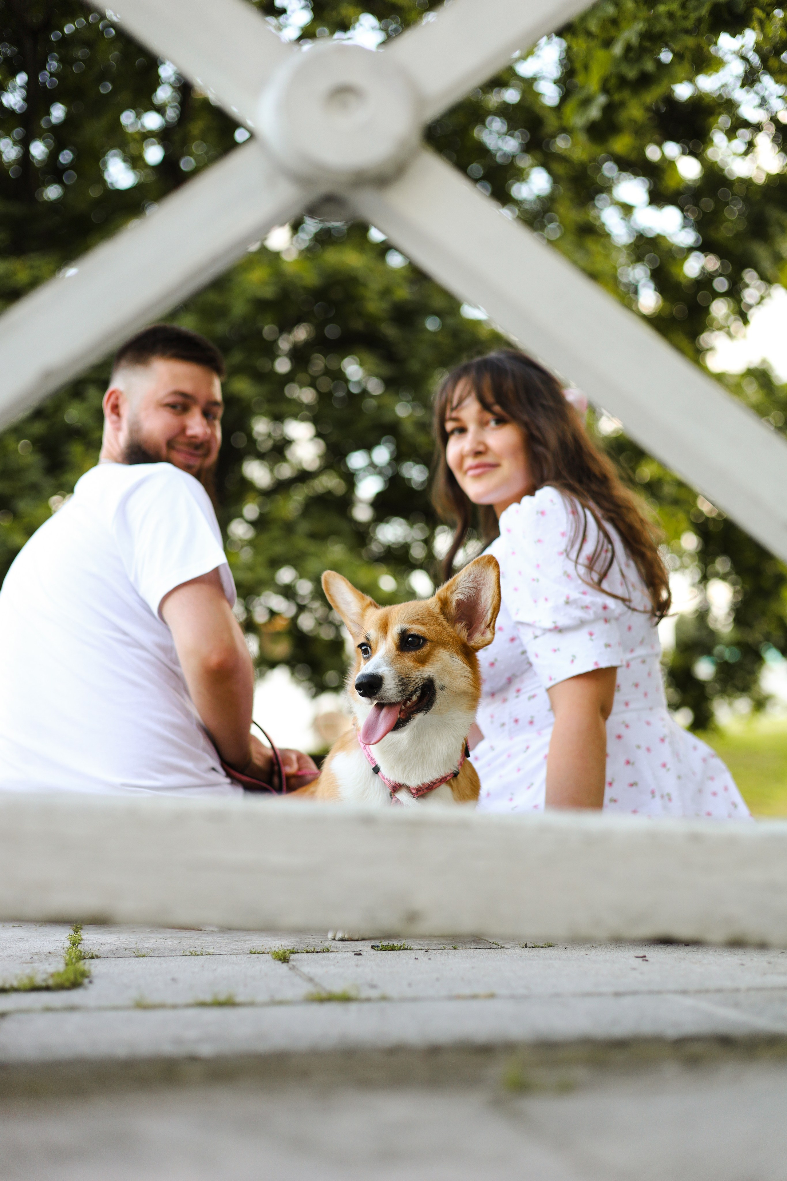 Эмили, Аня и Лёша. Фотограф-анималист Ксения Шевцова|Москва