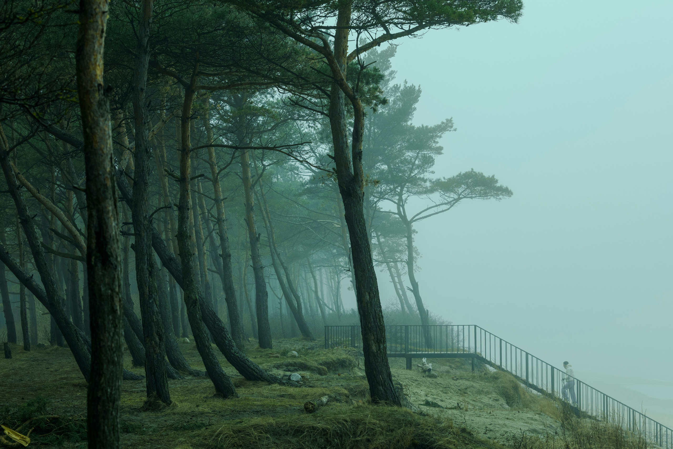 Пейзажи. Фотограф из Санкт-Петербурга — Виктория Горелкова