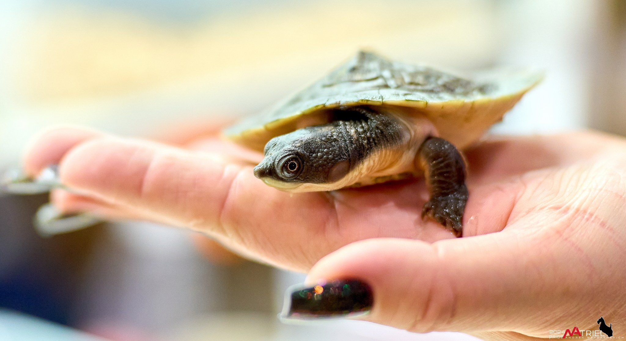 Репортаж с выставки РЕПТИЛИУМ-2024