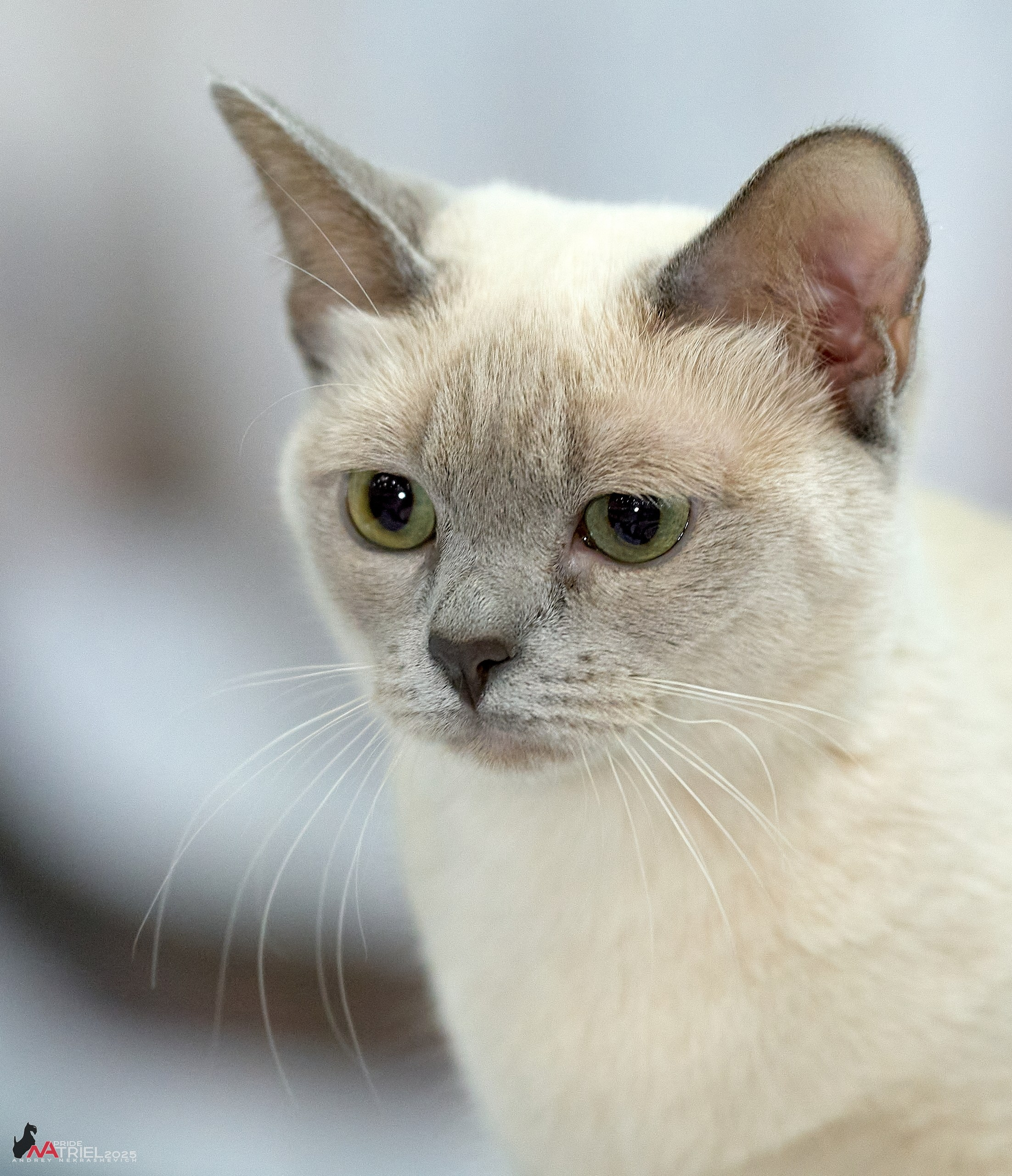 Репортаж с ЗООФЕСТ в Крокусе