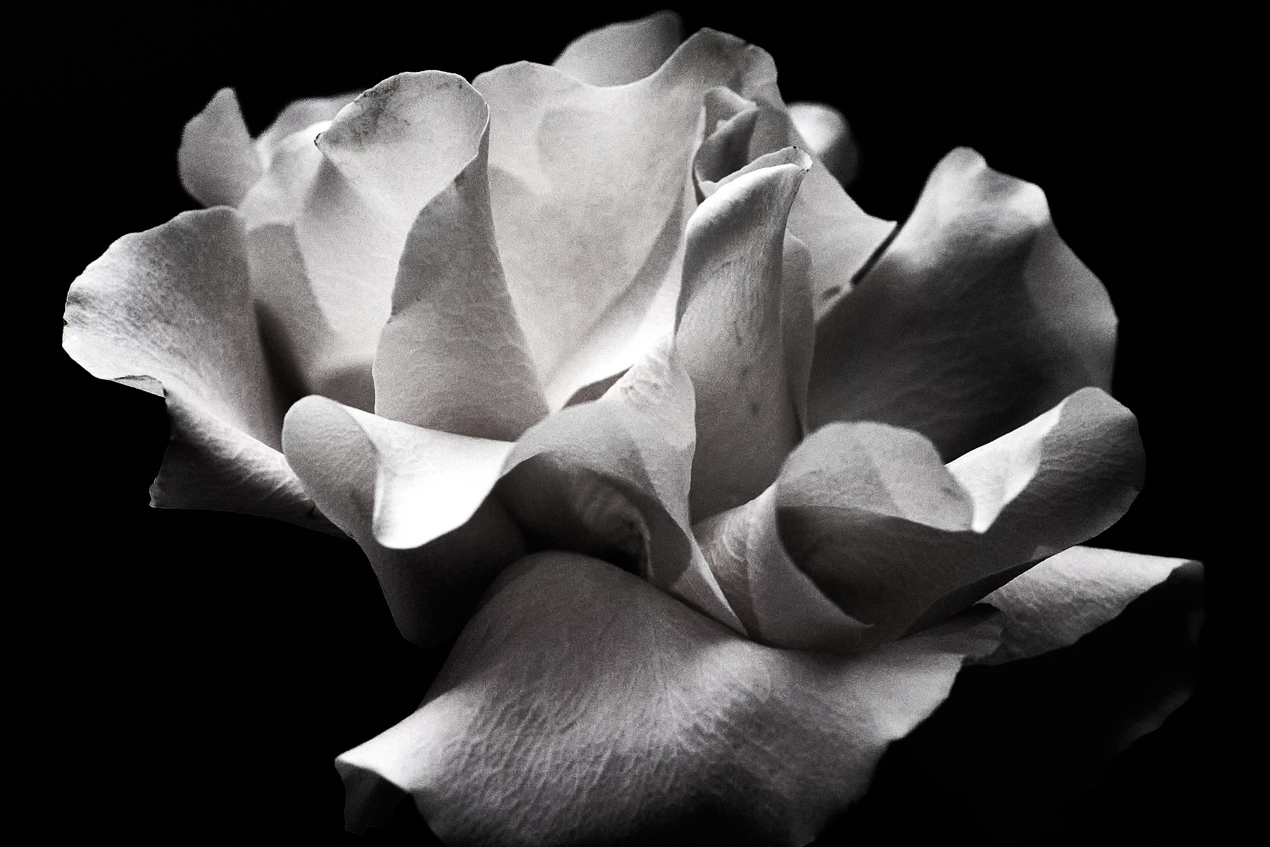 Esthetic. Фотограф Москва / TASIA_ZHUKOVA Photographer Moscow