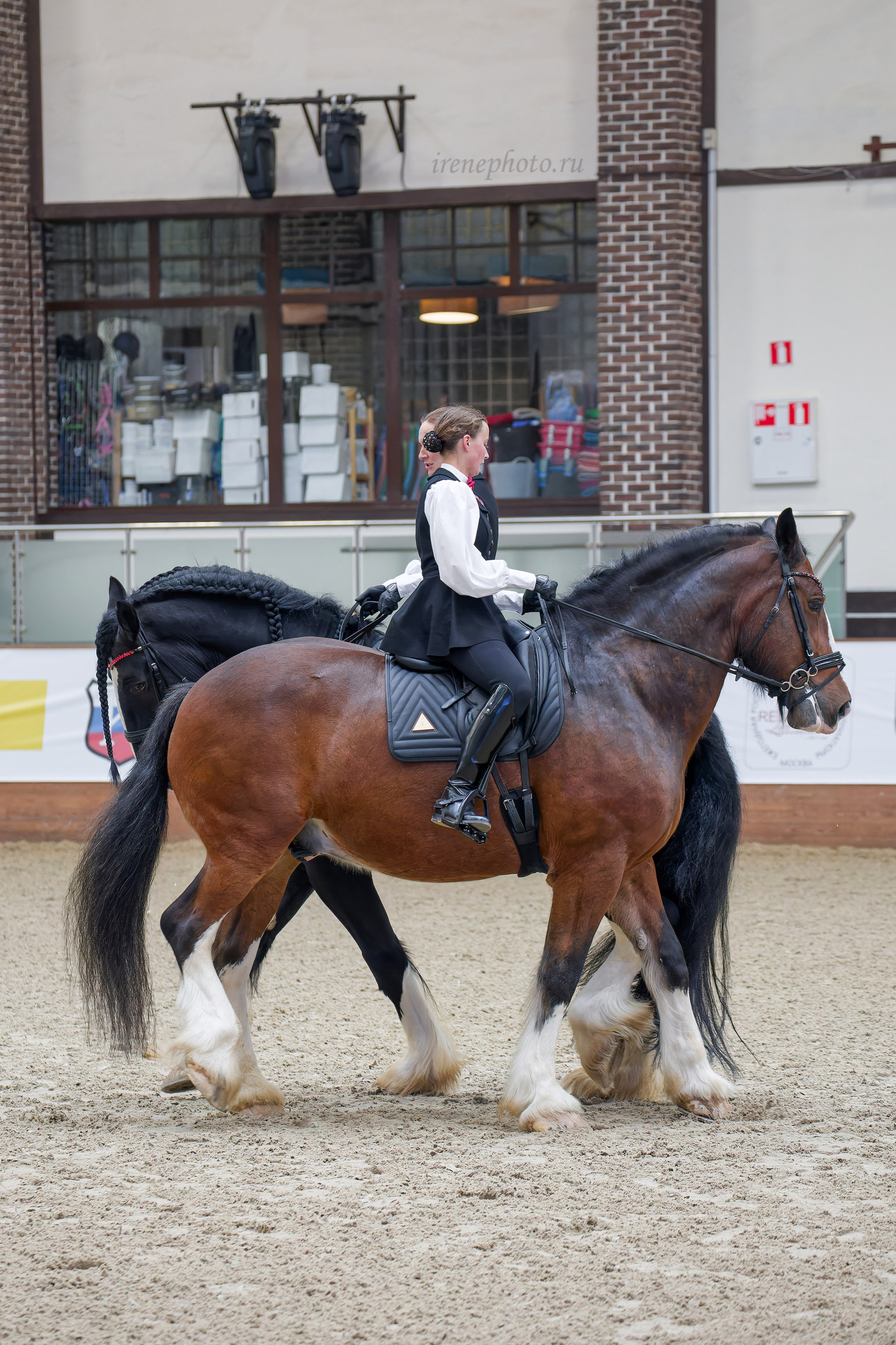 Конная Россия 2024. Irenephoto.ru