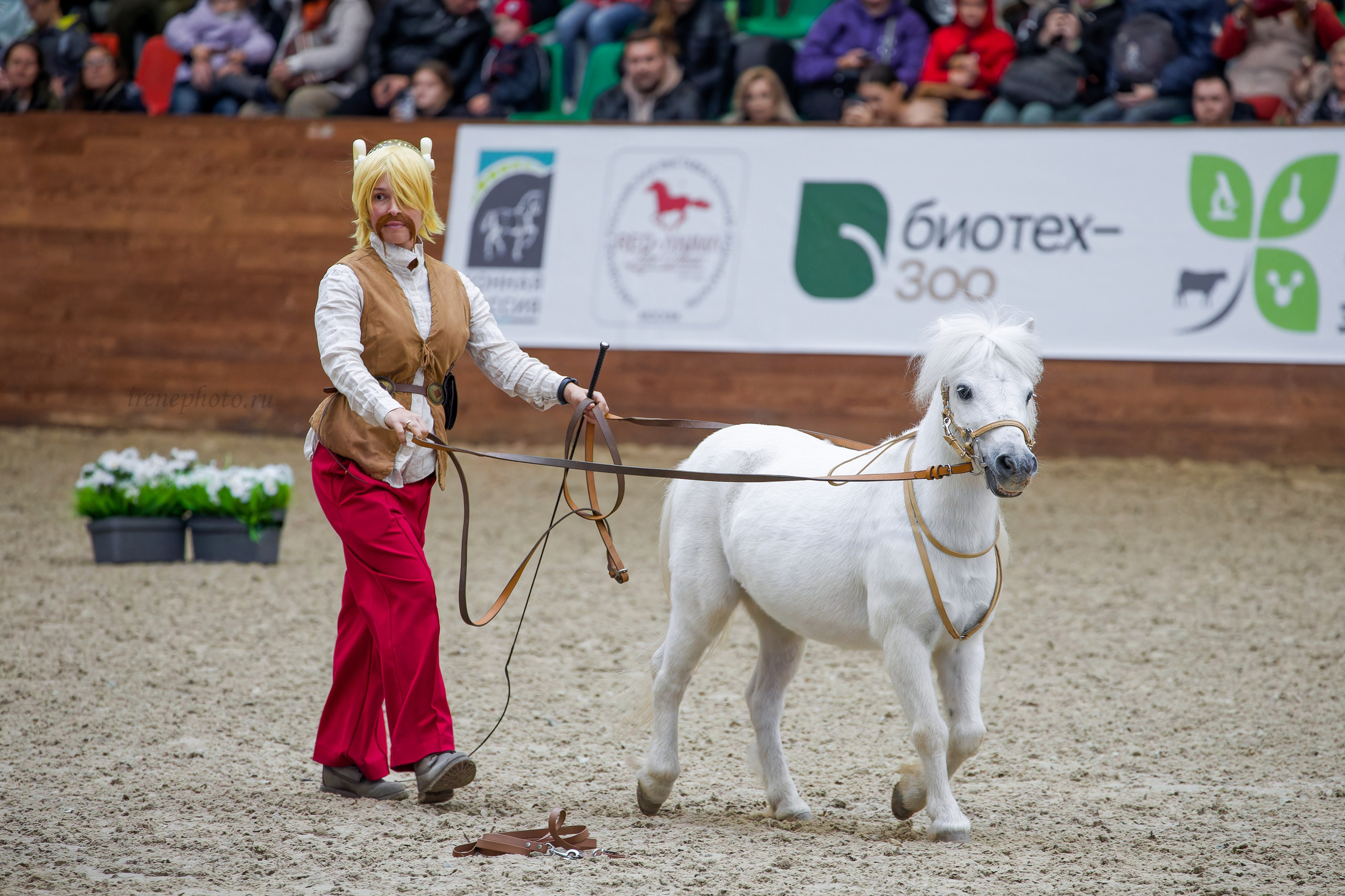 Конная Россия 2024. Irenephoto.ru
