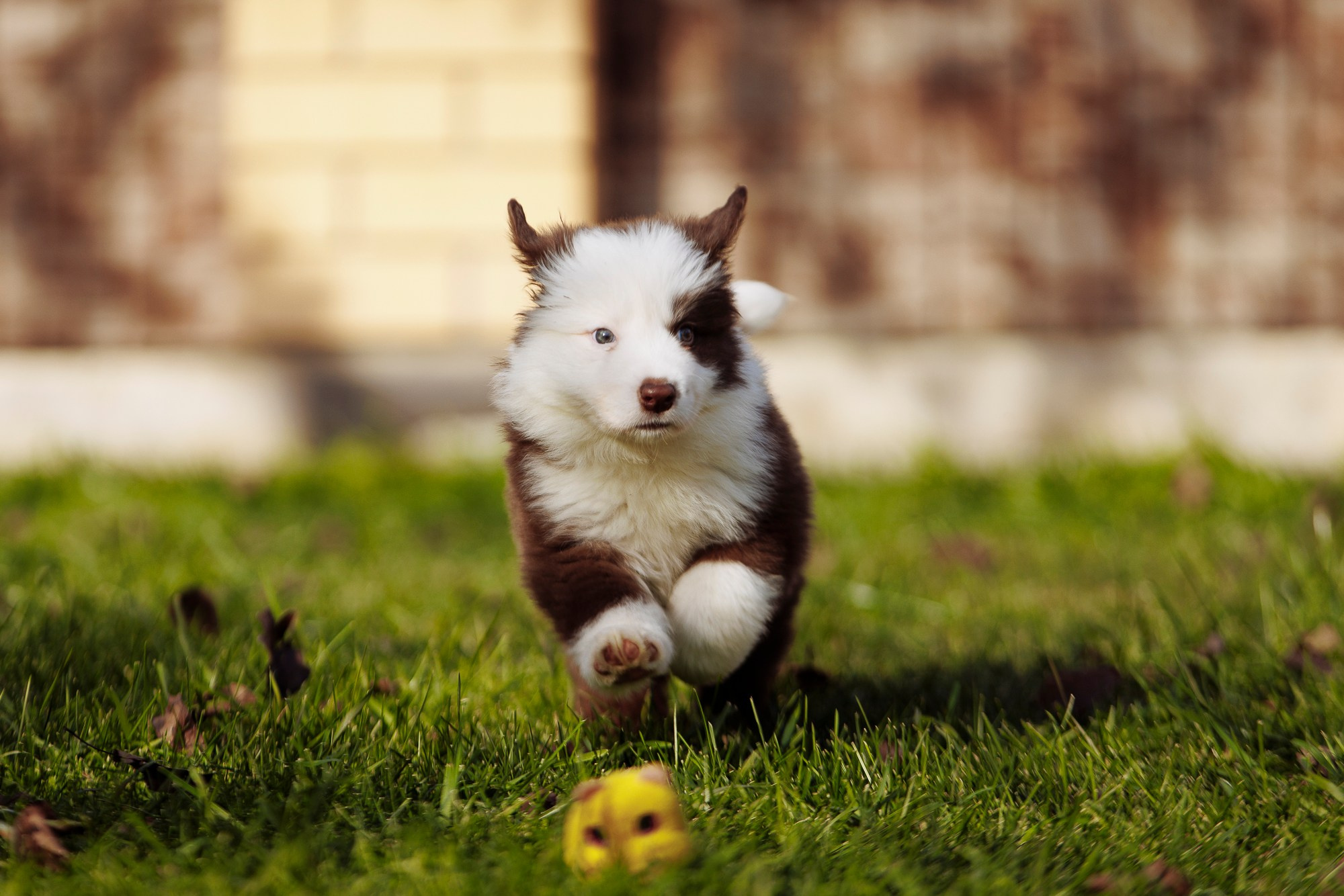 У дома с большой компанией от мала до велика. О нас