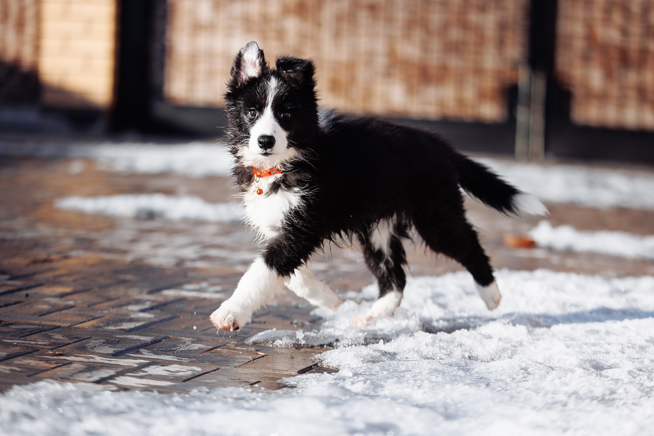 Пока таяло. О нас