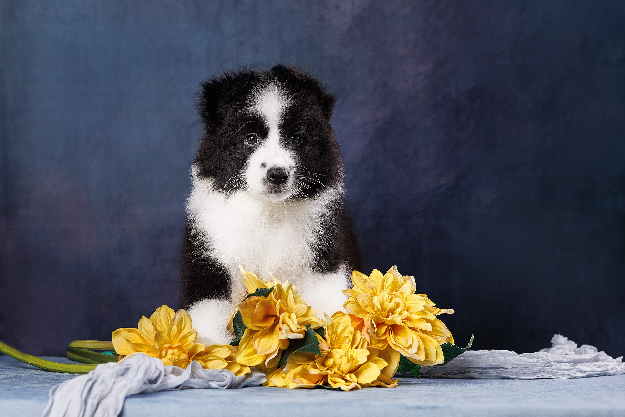 На водной основе. О нас