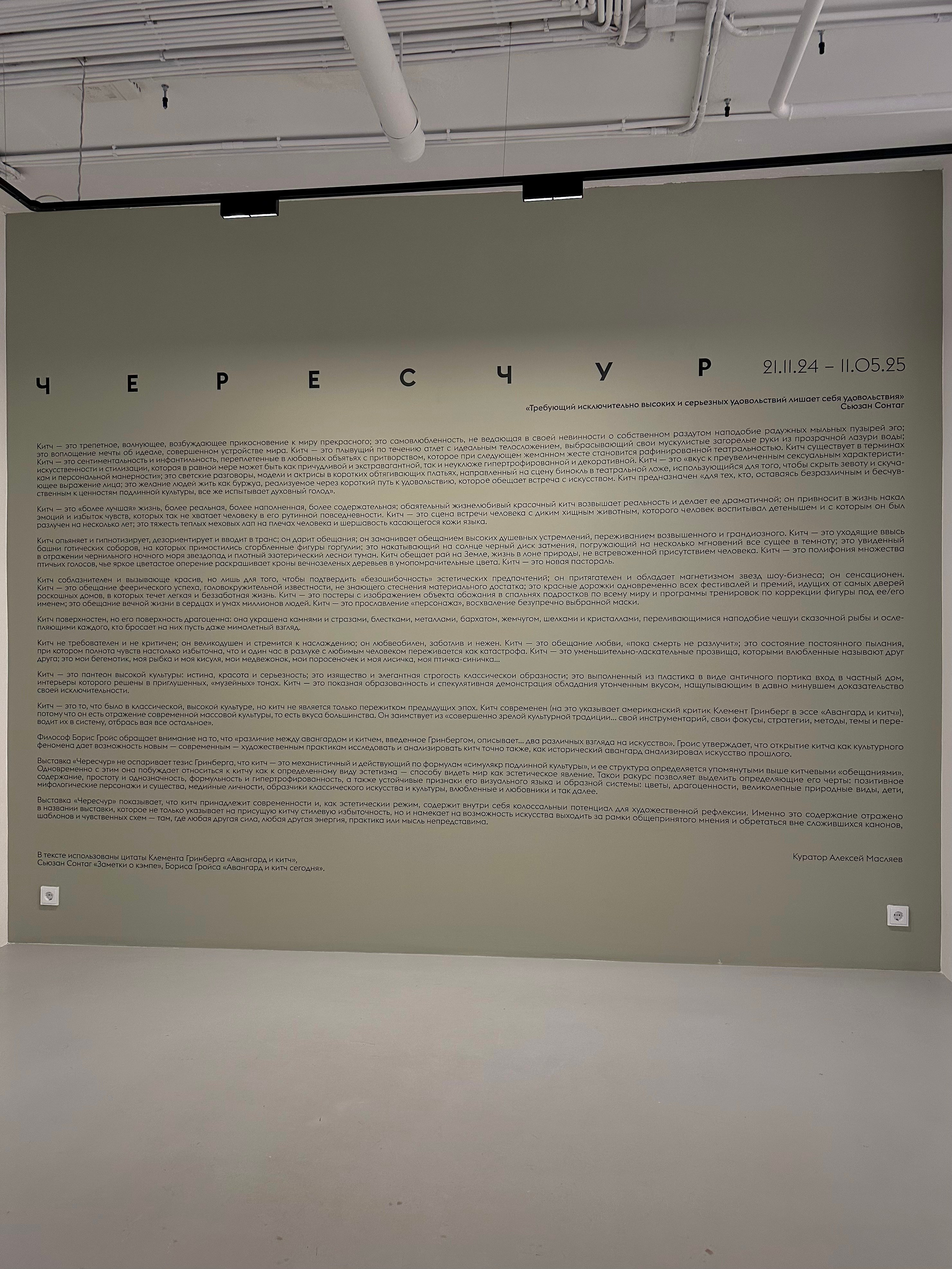 Выставка Чересчур. Фотосессии и репортаж — Фотограф в Москве — Рина Серёгина