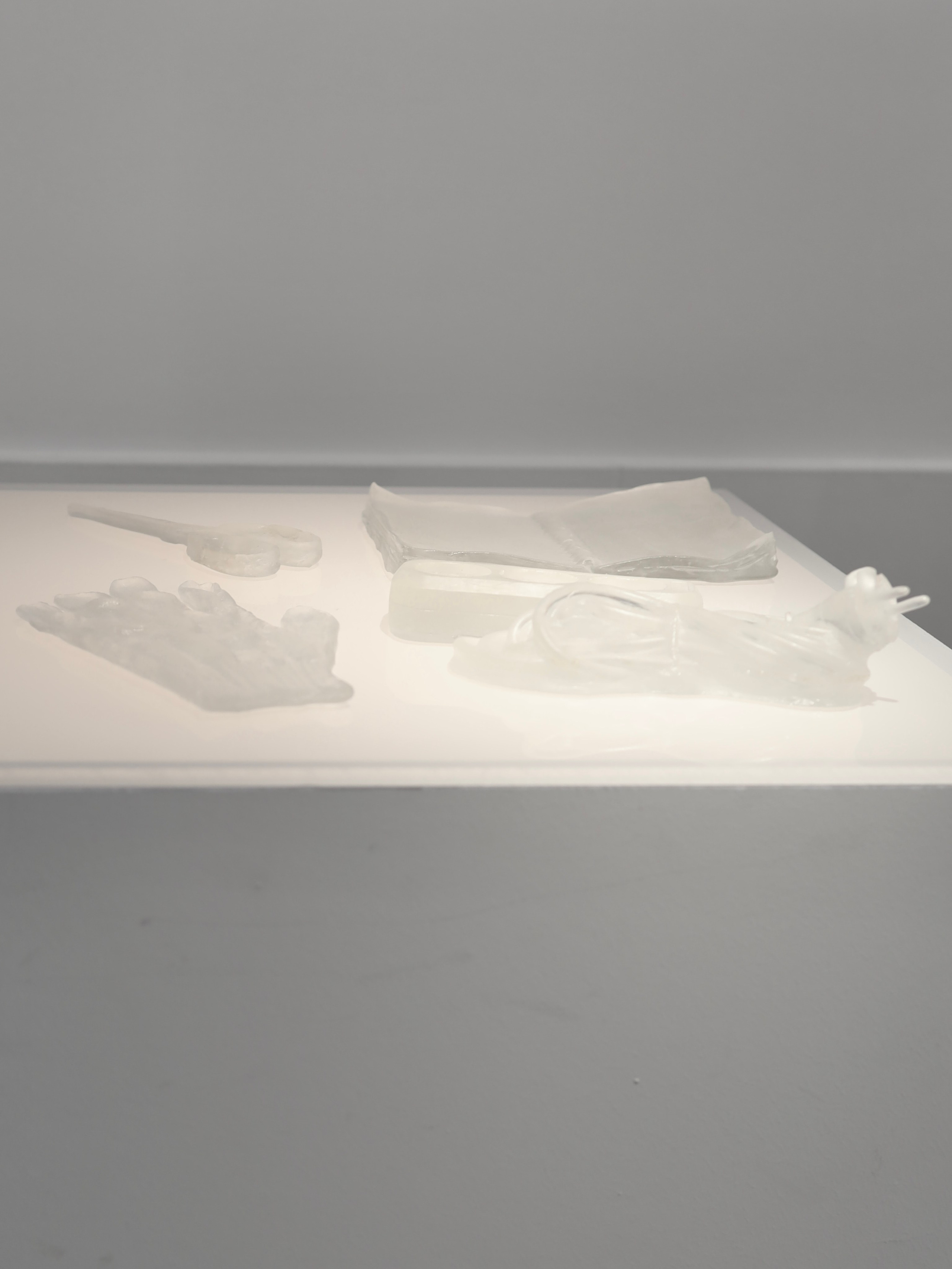 Выставка Степени прозрачности. Фотосессии и репортаж — Фотограф в Москве — Рина Серёгина